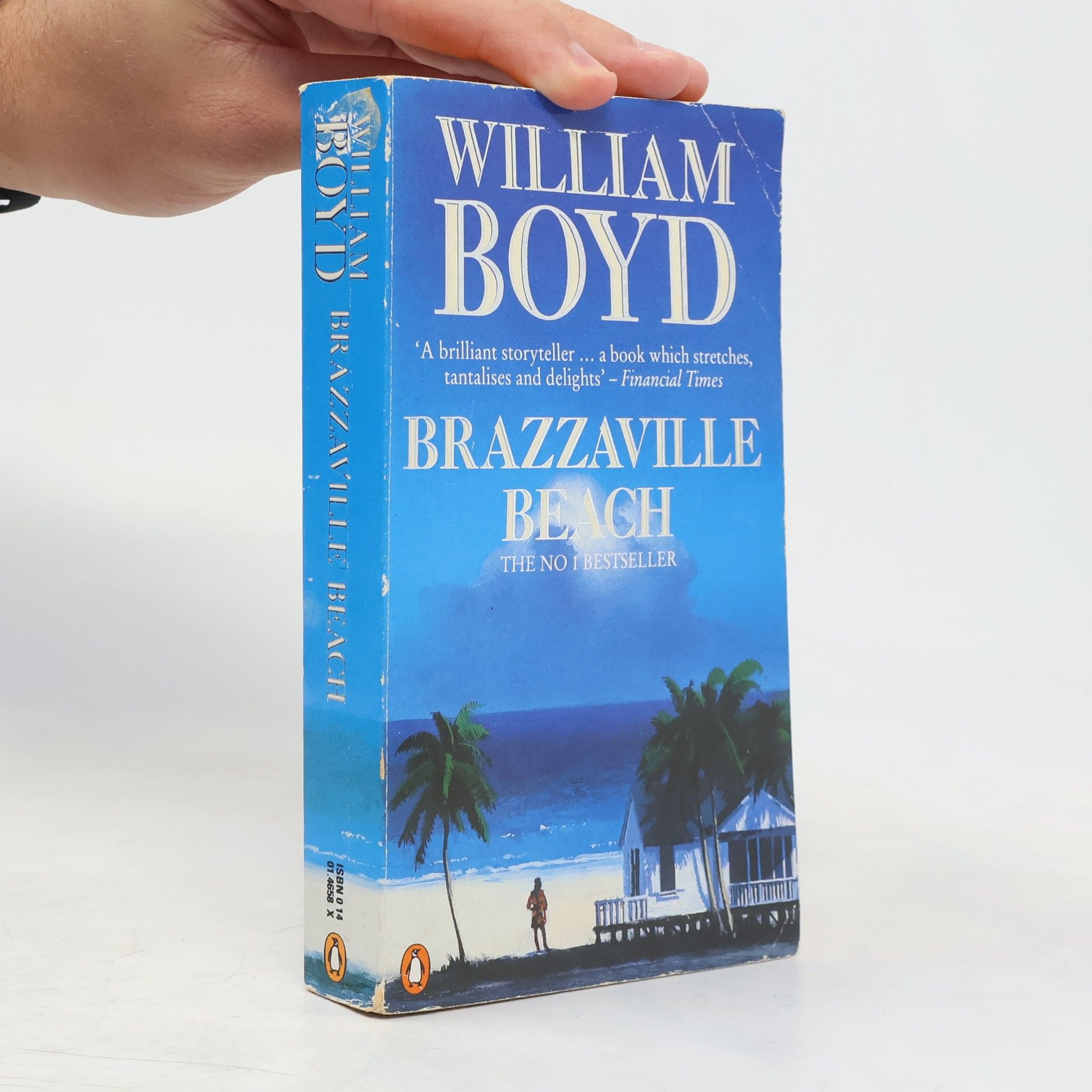 William Boyd Brazzaville Beach