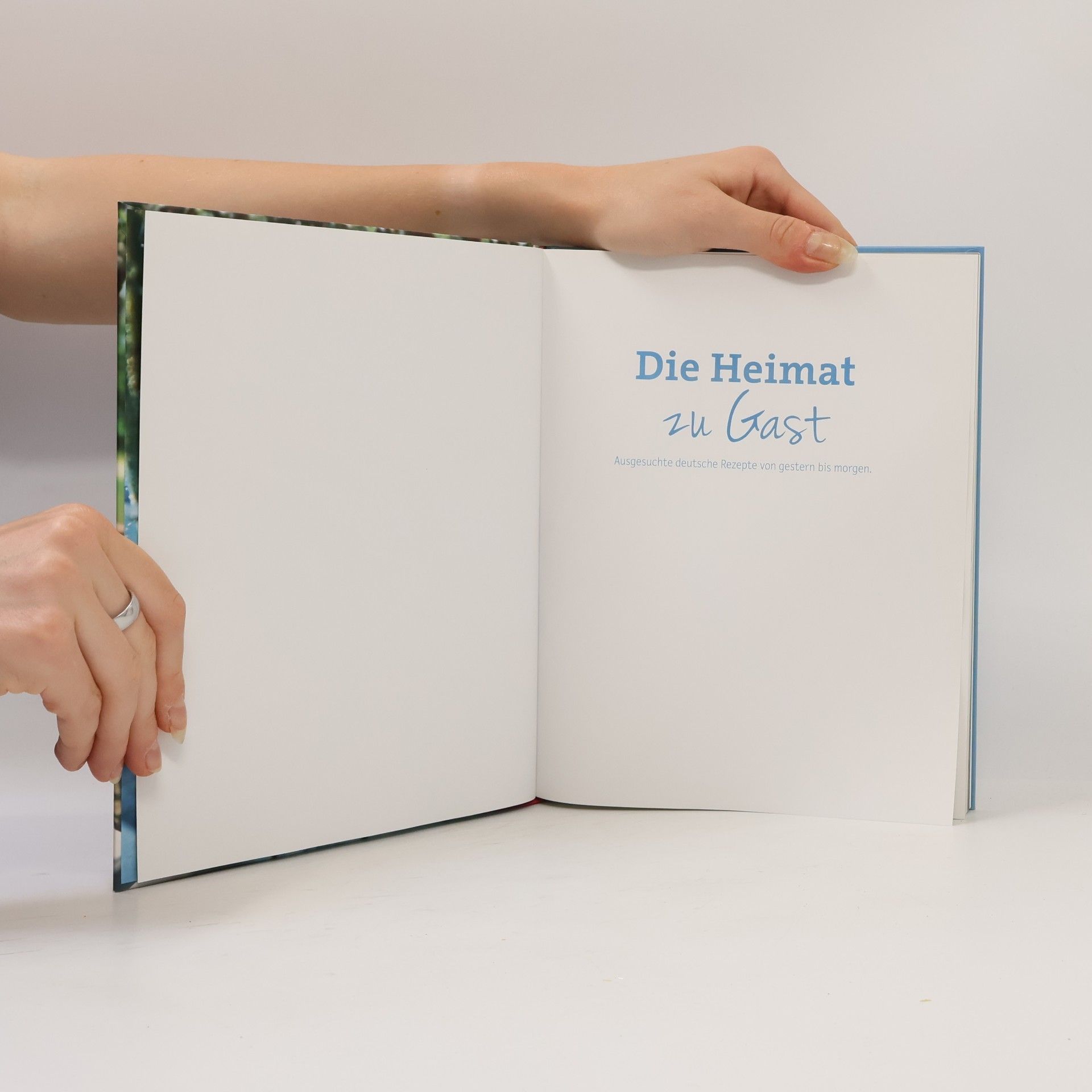 Guya Hansen Die Heimat zu Gast
