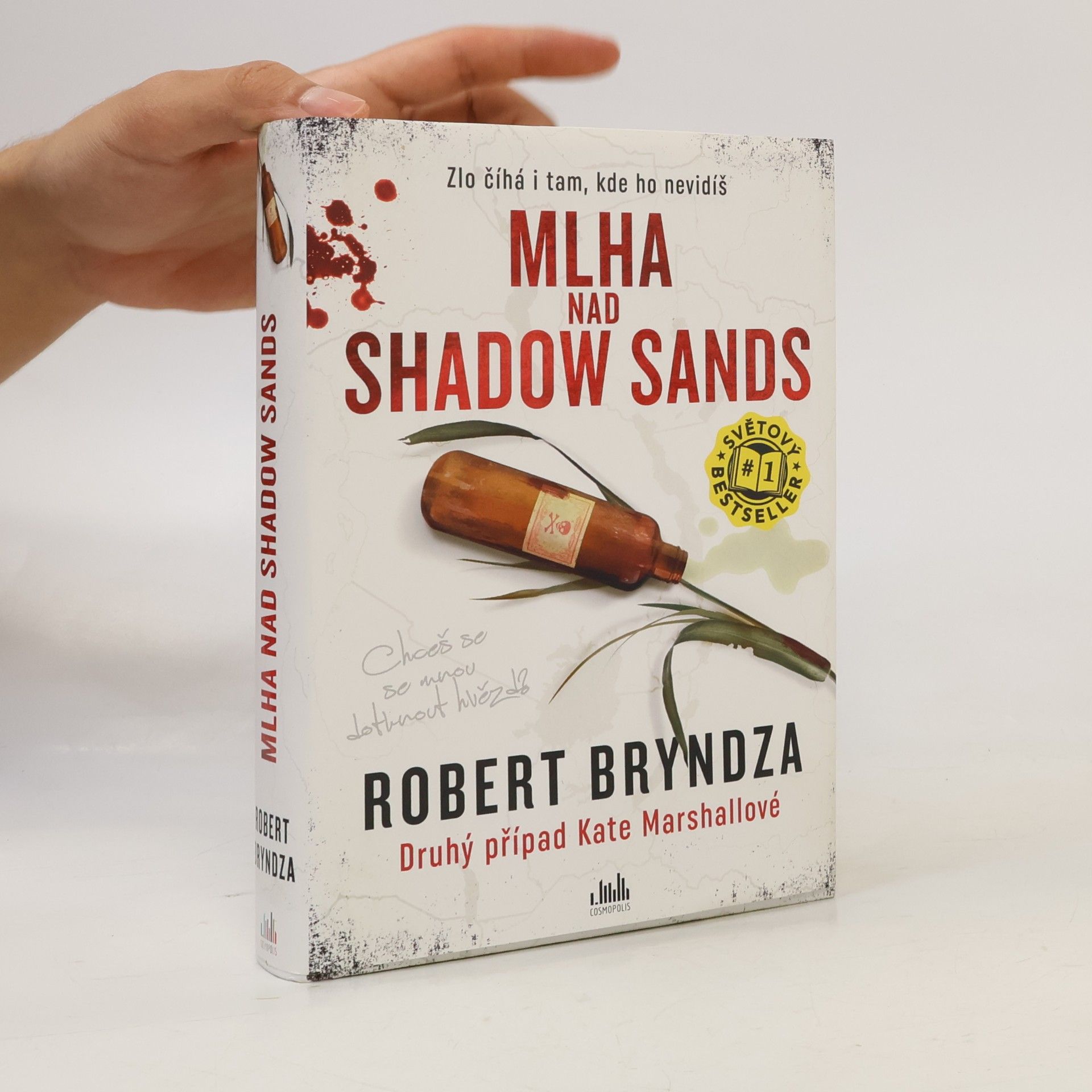 Robert Bryndza Mlha nad Shadow Sands