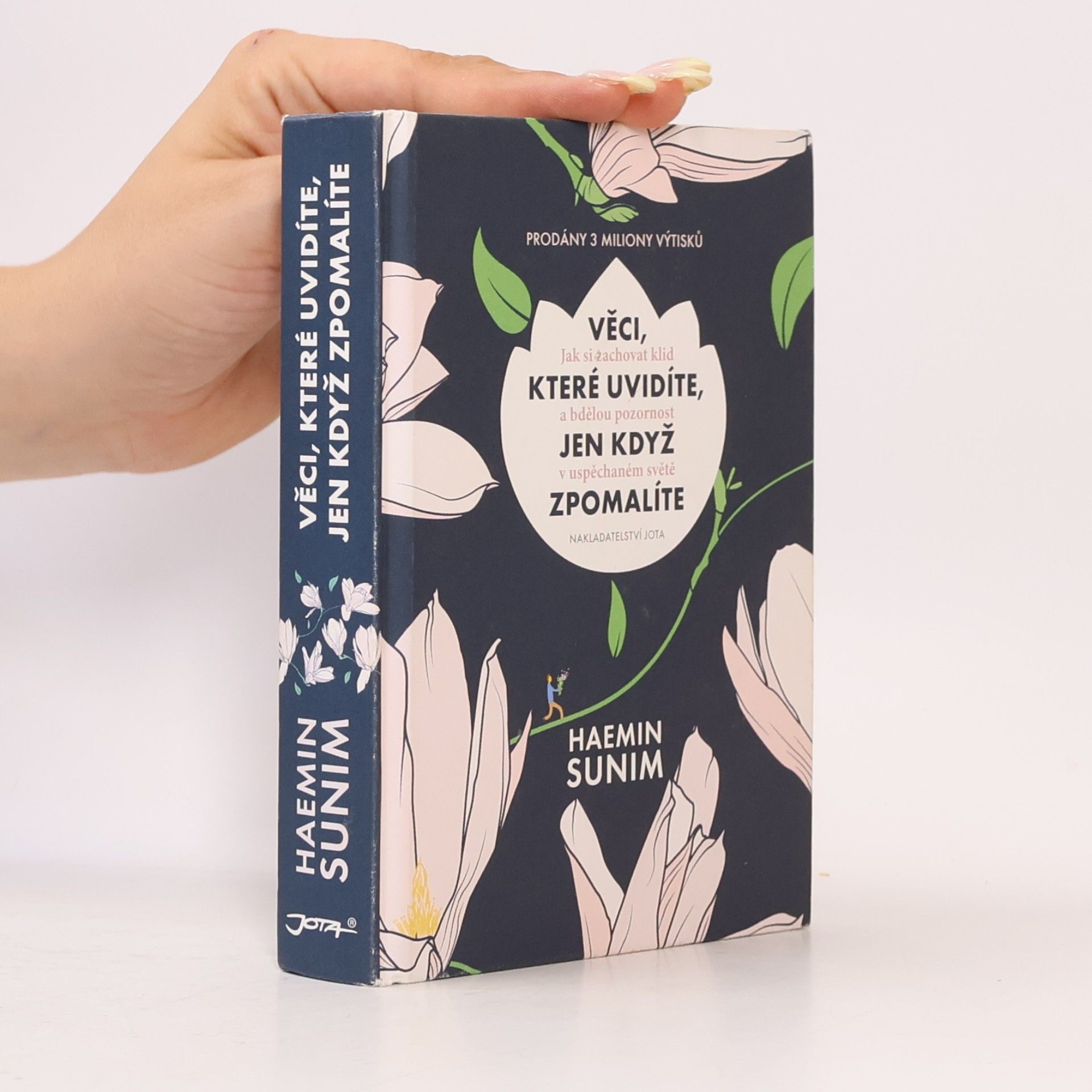 Sunim Haemin Věci, které uvidíte, jen když zpomalíte