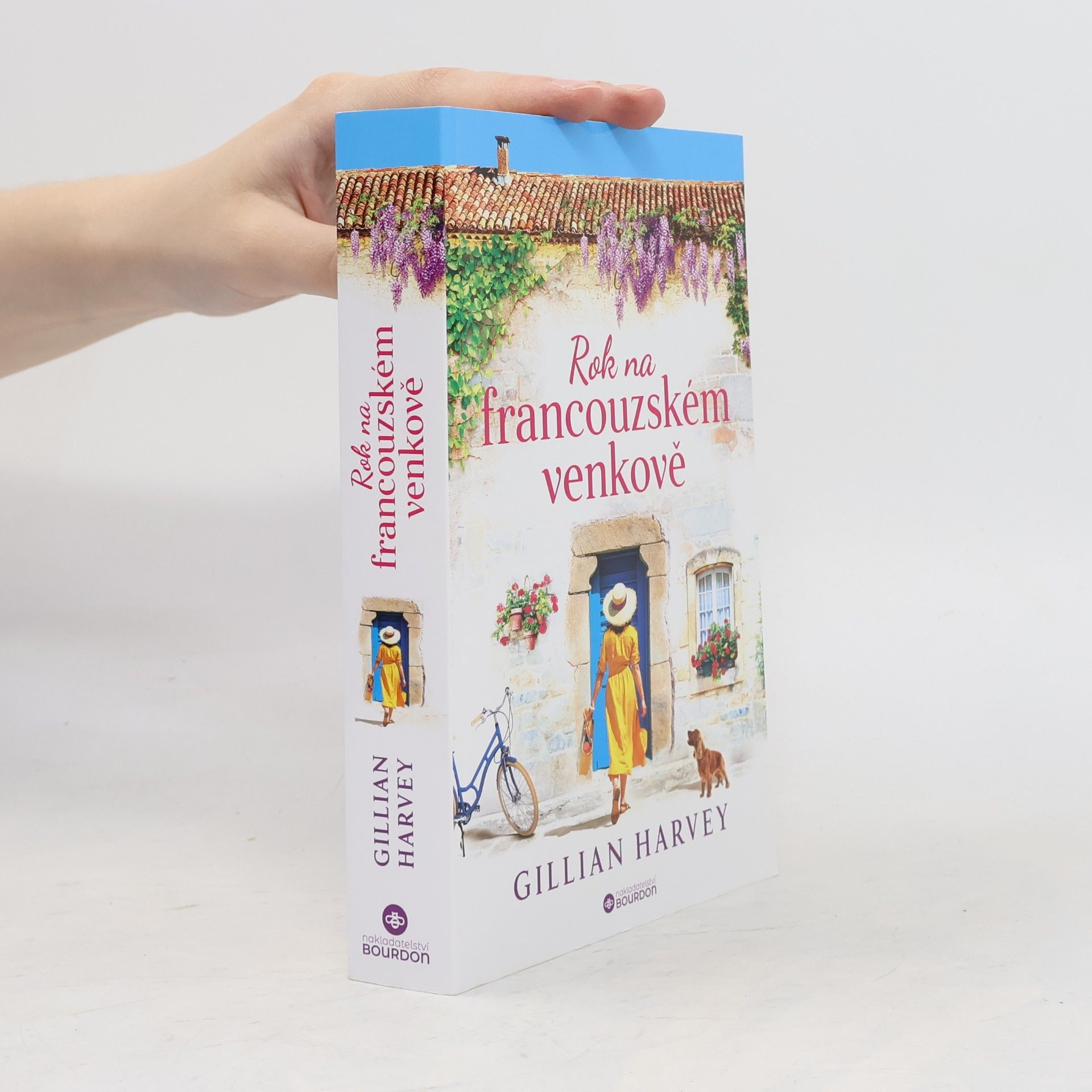 Gillian Harvey Rok na francouzském venkově
