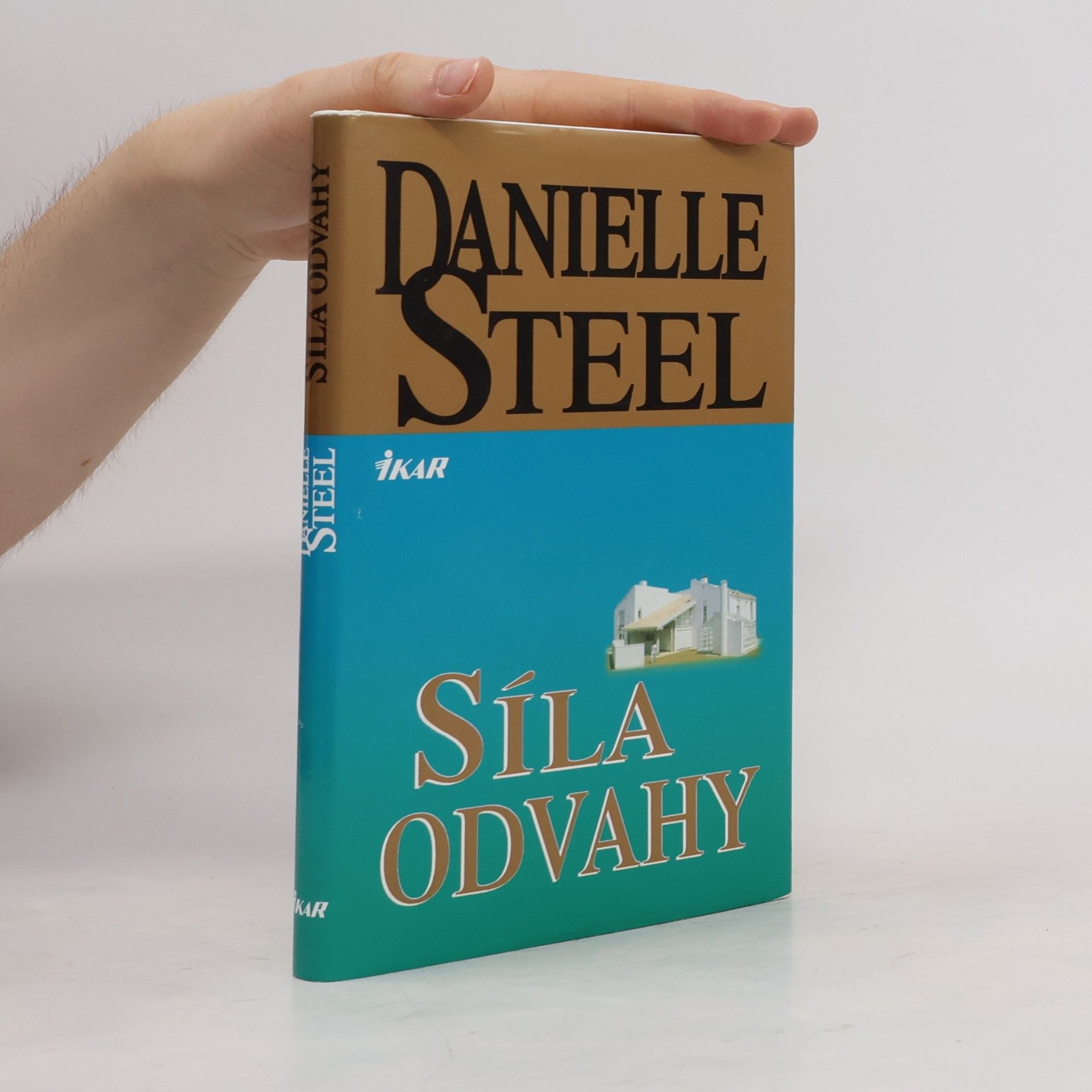 Danielle Steelová Síla odvahy