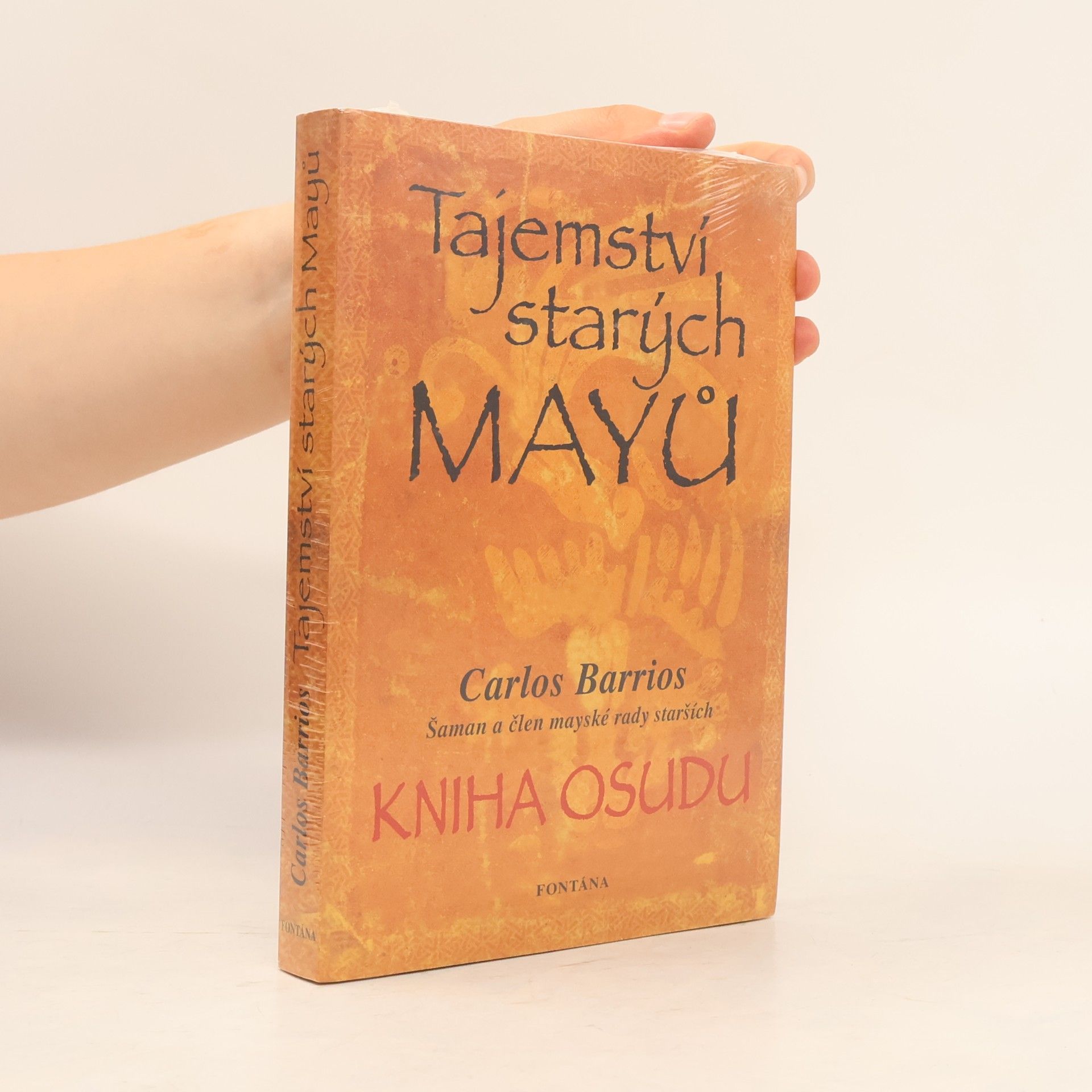 Carlos Barrios Tajemství starých Mayů