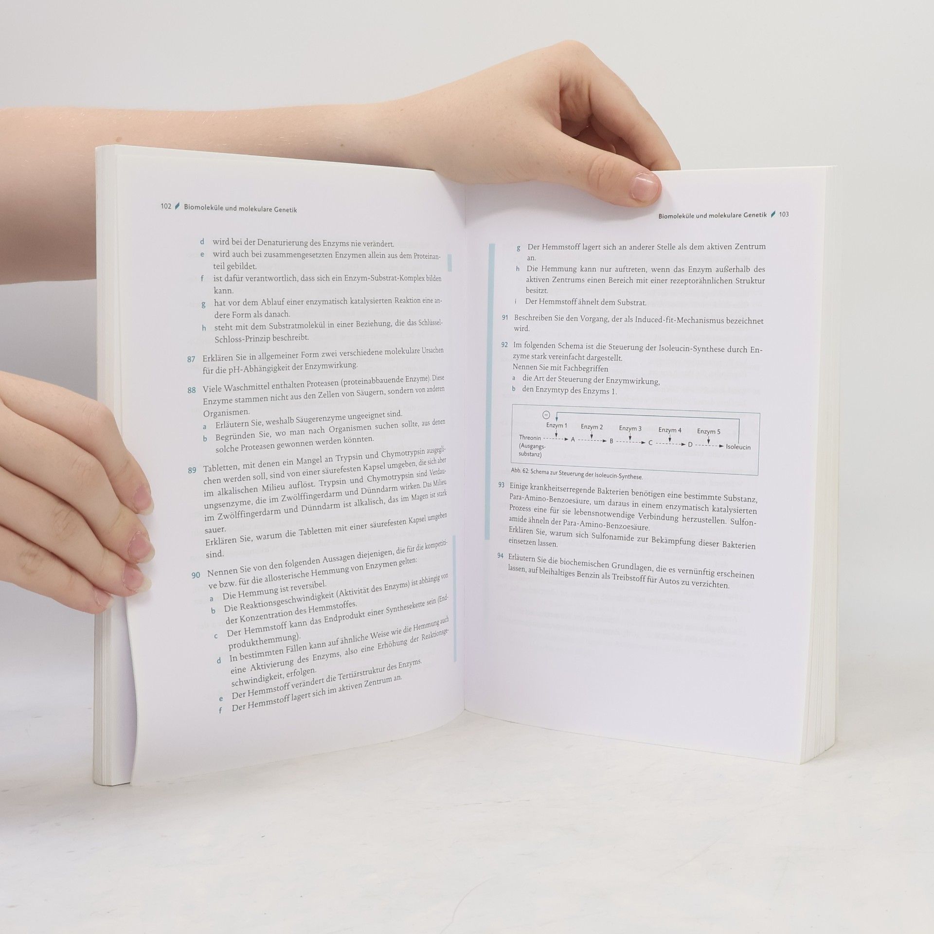 Dr. Werner Bils STARK Abitur-Training - Biologie Band 1 - BaWü ab 2023