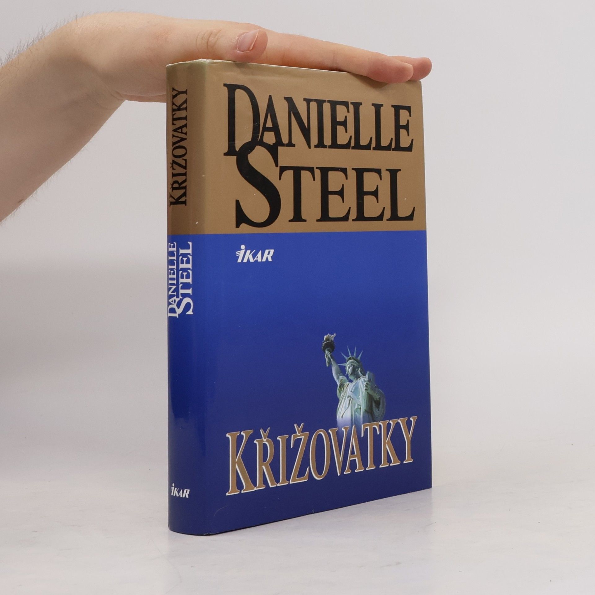 Danielle Steel Křižovatky