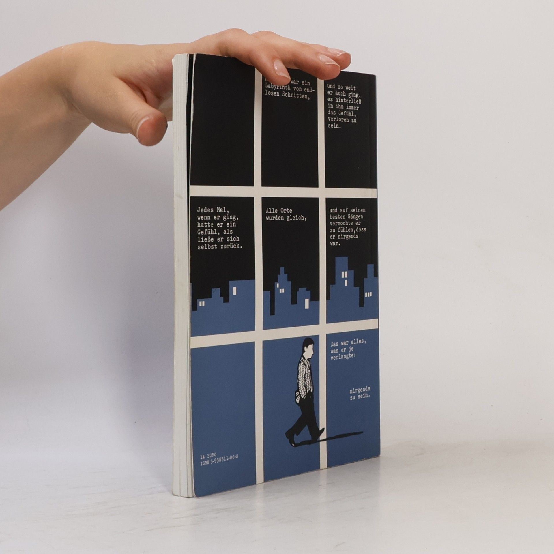 Paul Karasik Paul Austers Stadt aus Glas