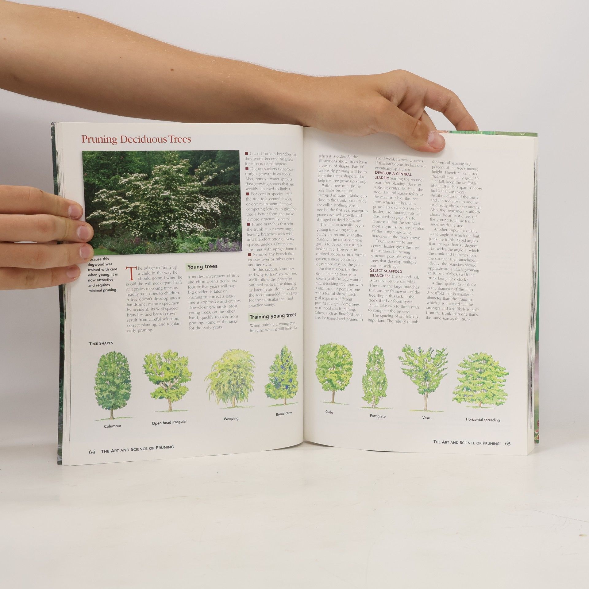 Complete Guide to Trees and Shrubs