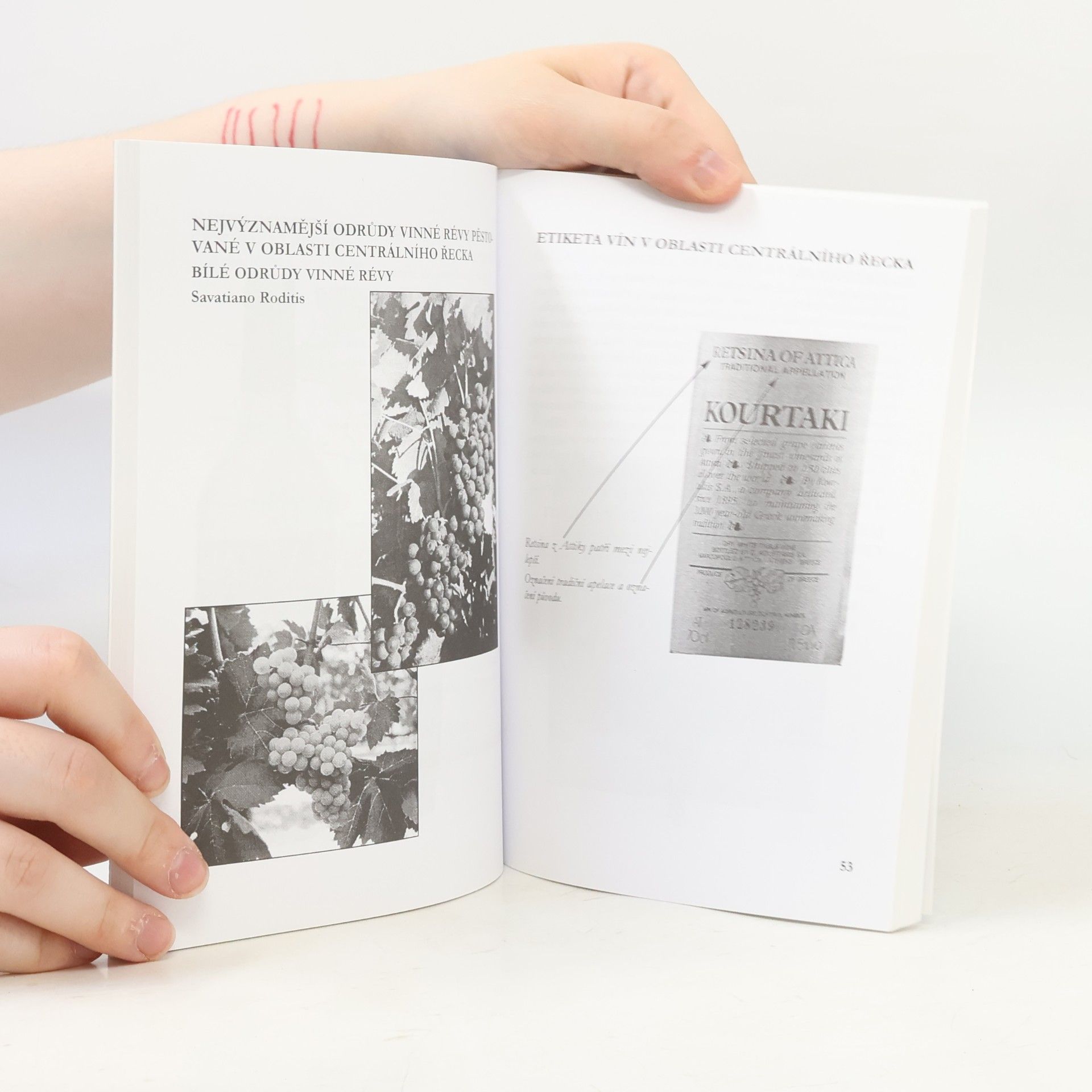 Eliška Jágrová Themen 2 : Ausgabe in zwei Bänden