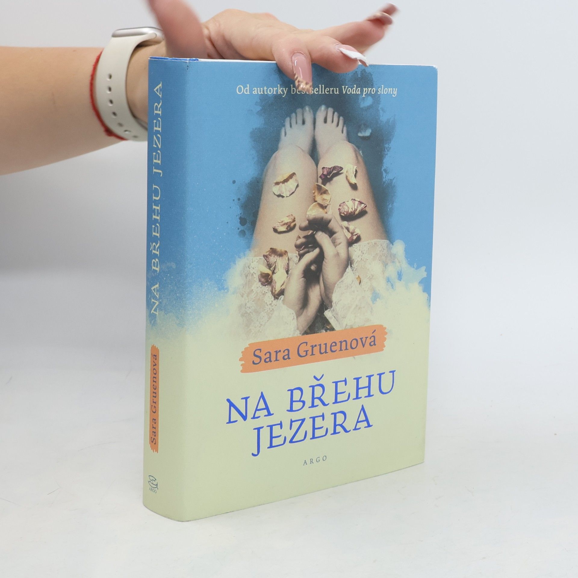 Sara Gruen Na břehu jezera