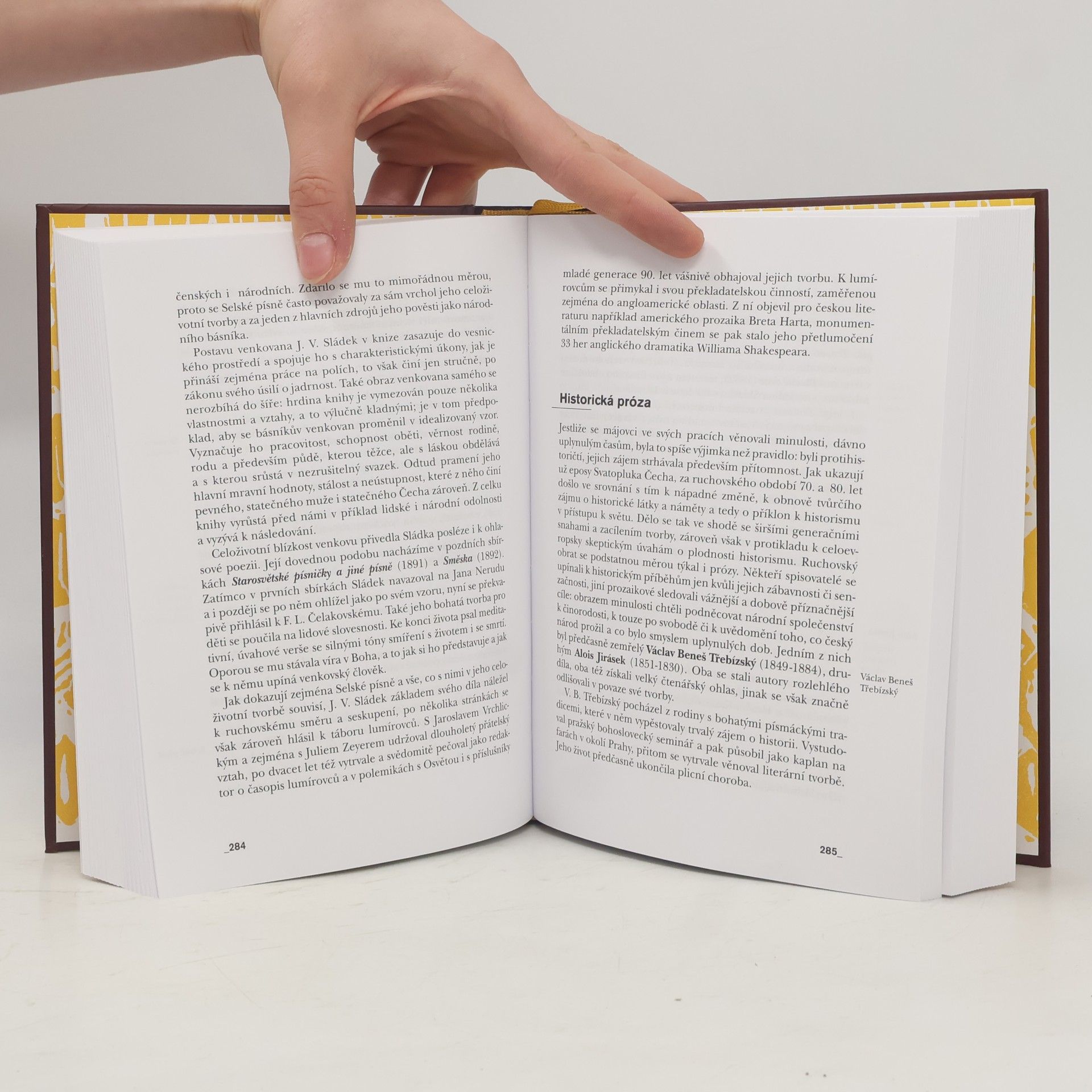 Bohumil Svozil Česká literatura ve zkratce. Období od 9. století po konec 20. století