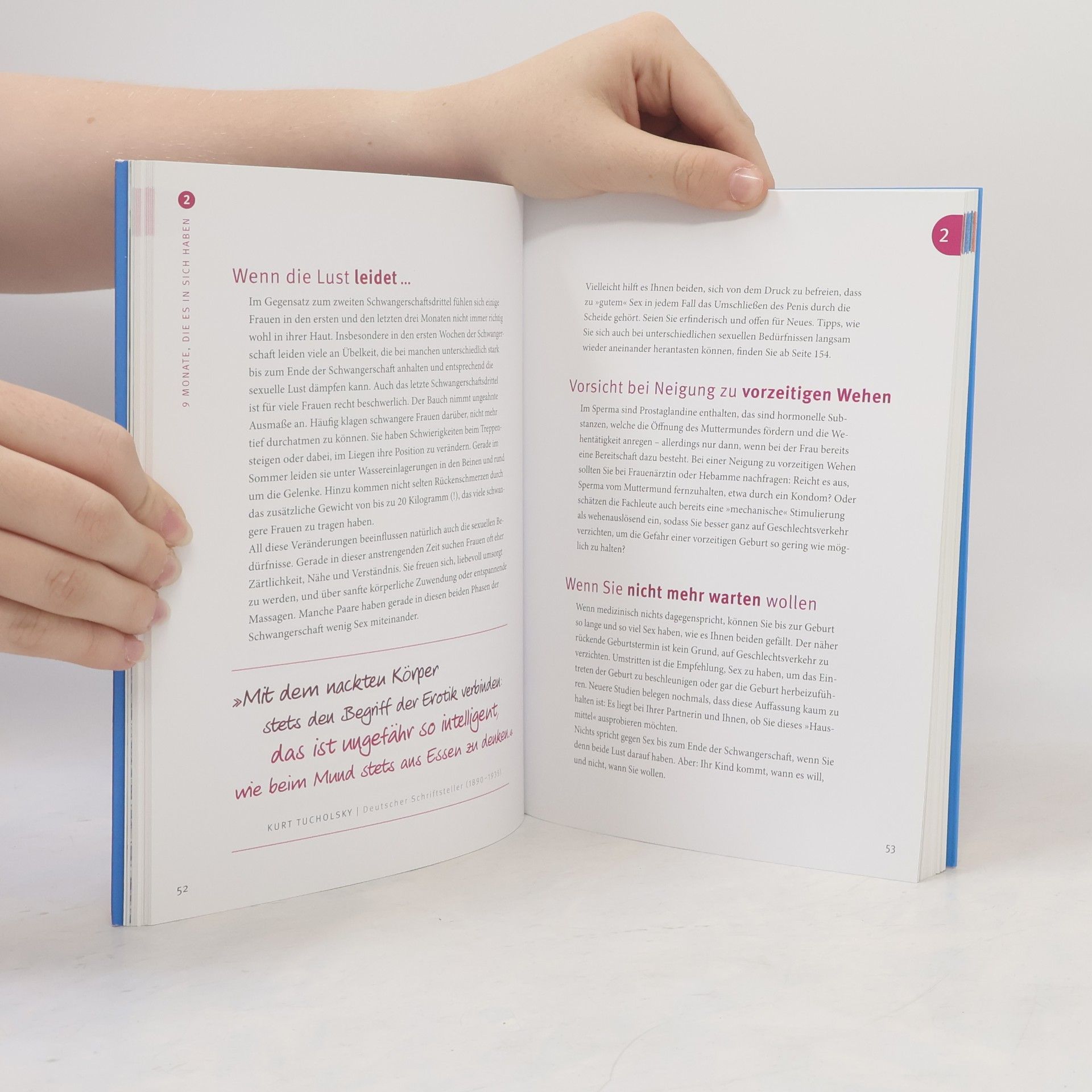 Robert Richter Das PAPA-handbuch