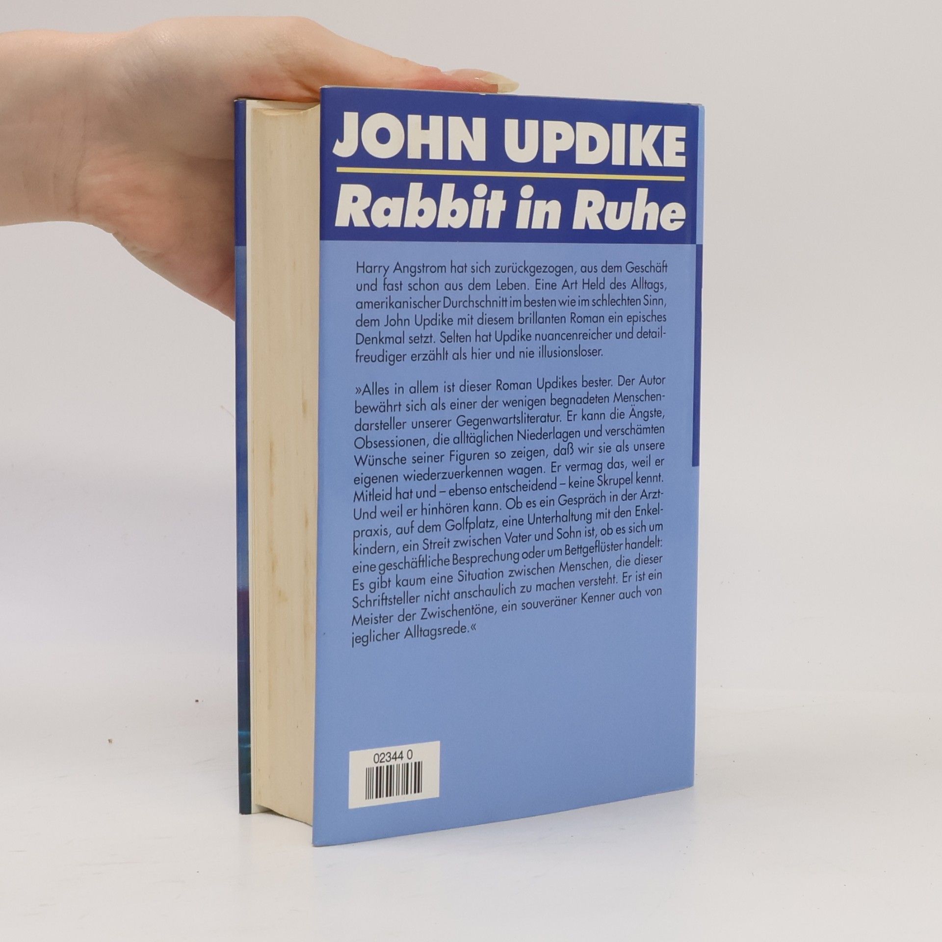 John Updike Rabbit in Ruhe