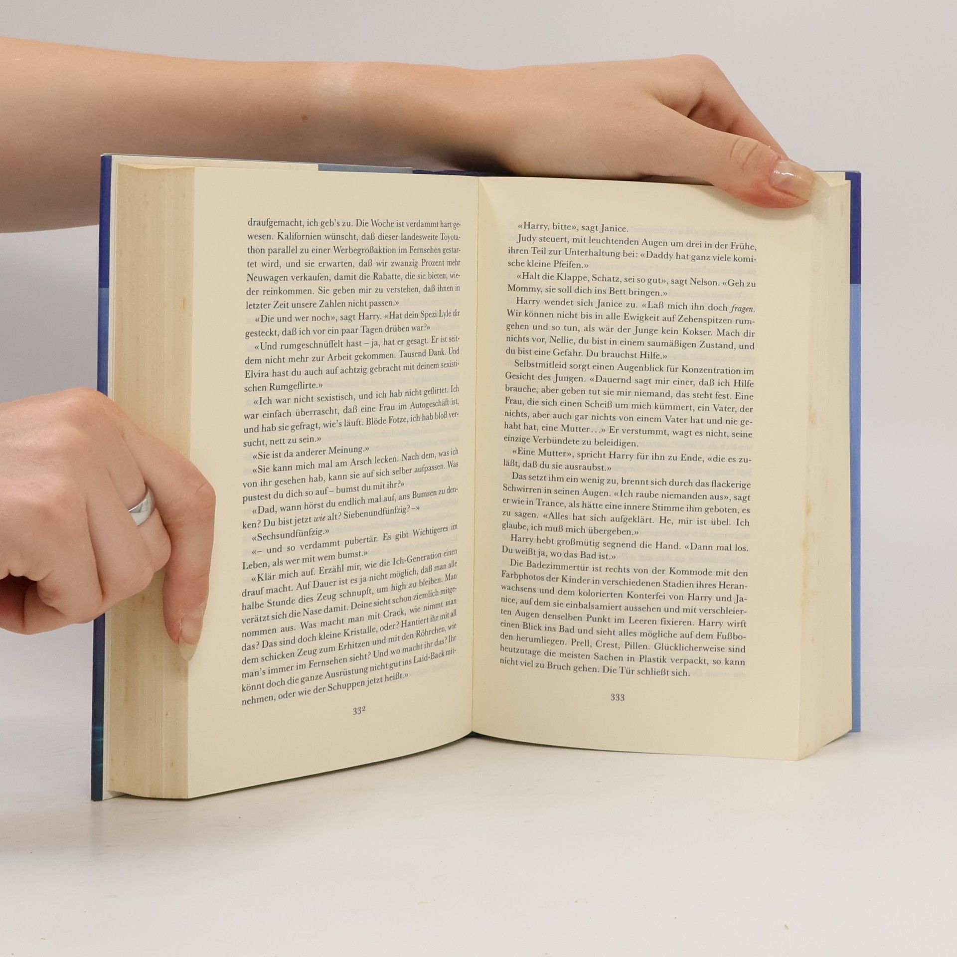 John Updike Rabbit in Ruhe
