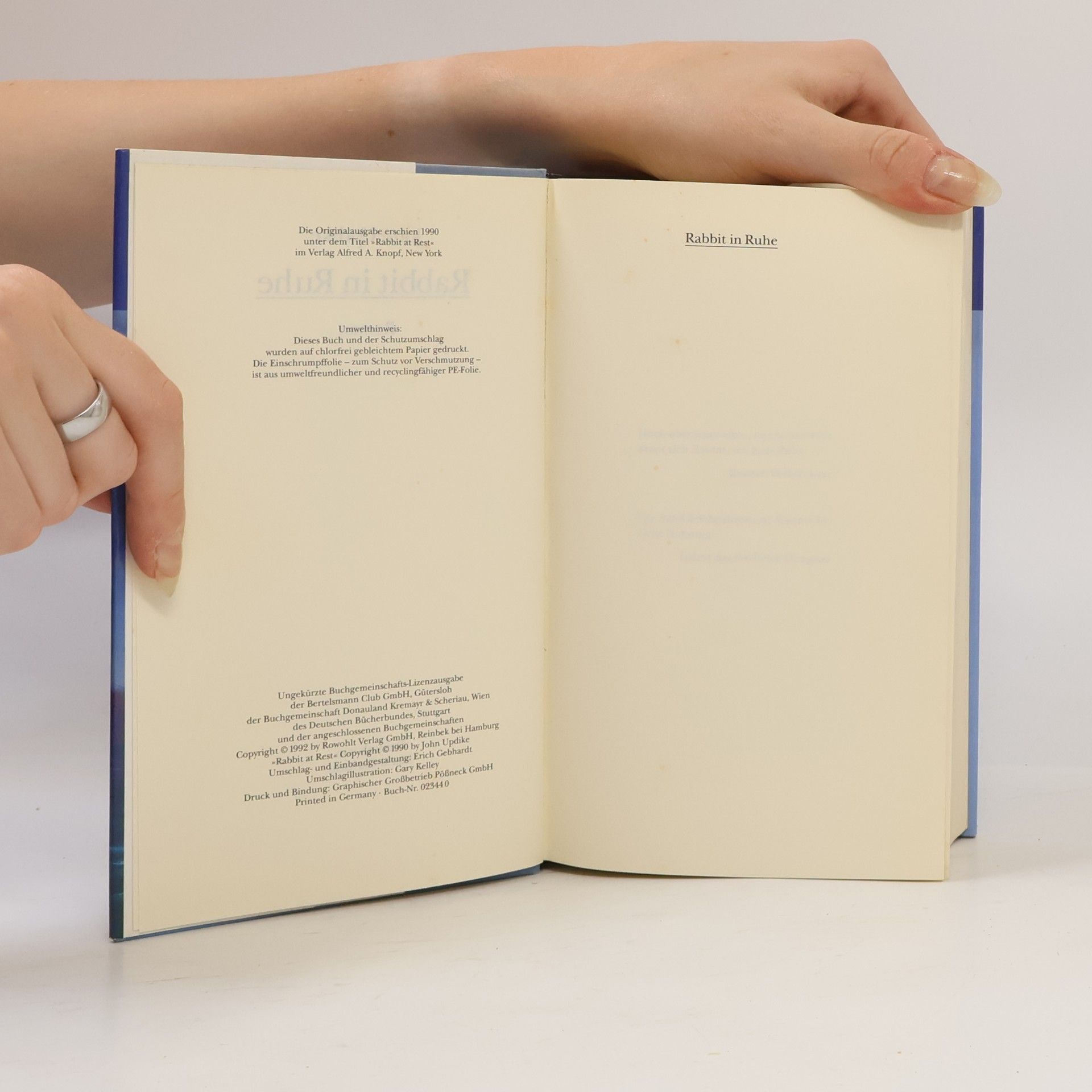 John Updike Rabbit in Ruhe