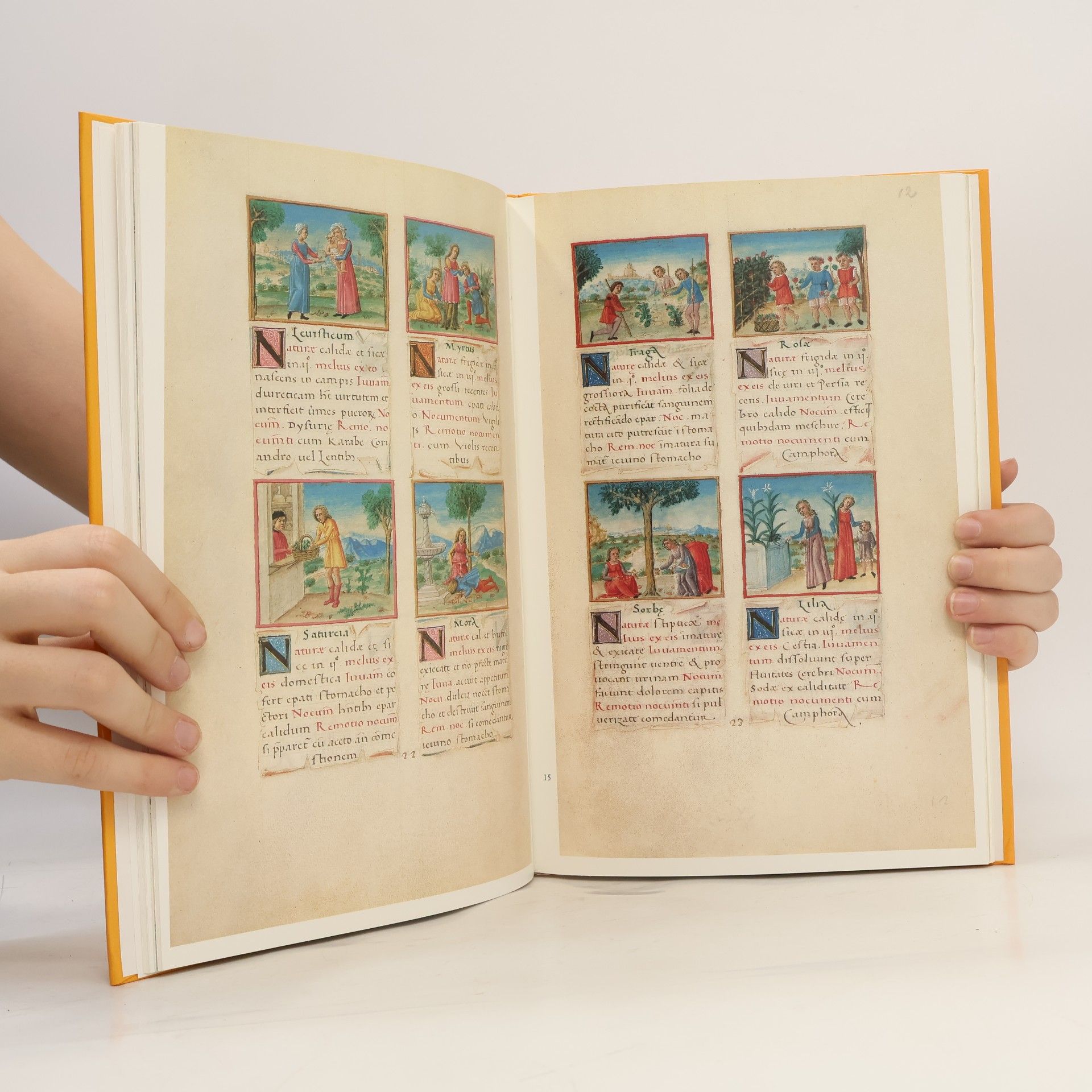 Otto Mazal Prinz Eugens schőnste Bücher