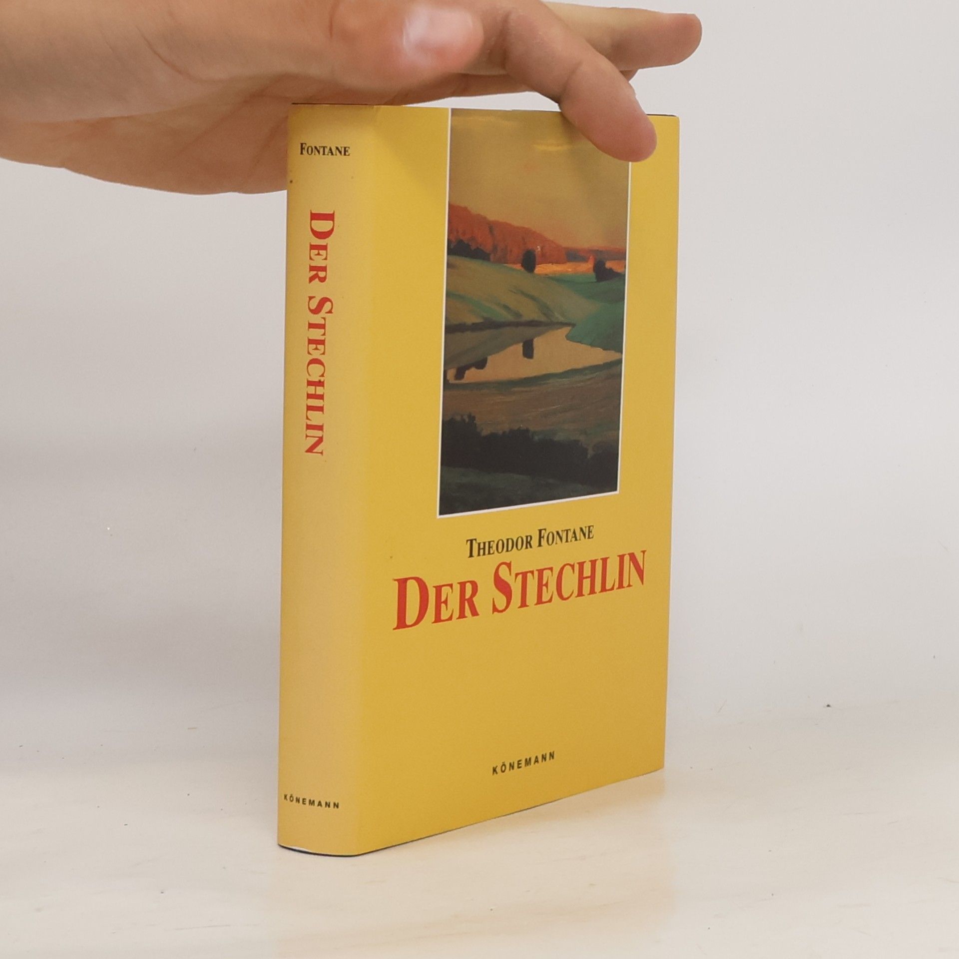 Theodor Fontane Der Stechlin