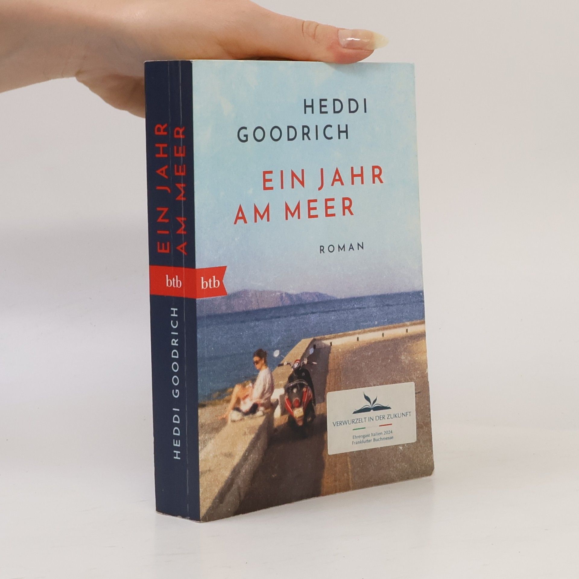 Heddi Goodrich Ein Jahr am Meer