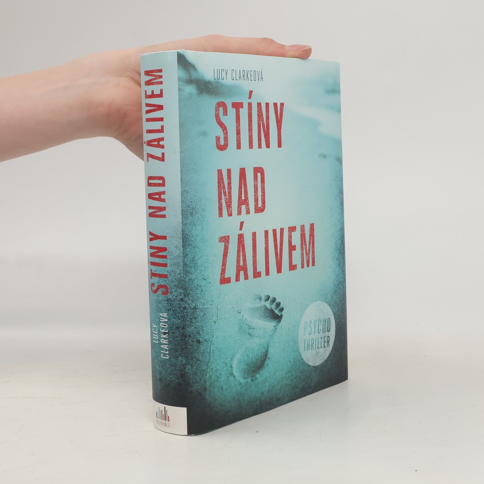 Lucy Clarke Stíny nad zálivem