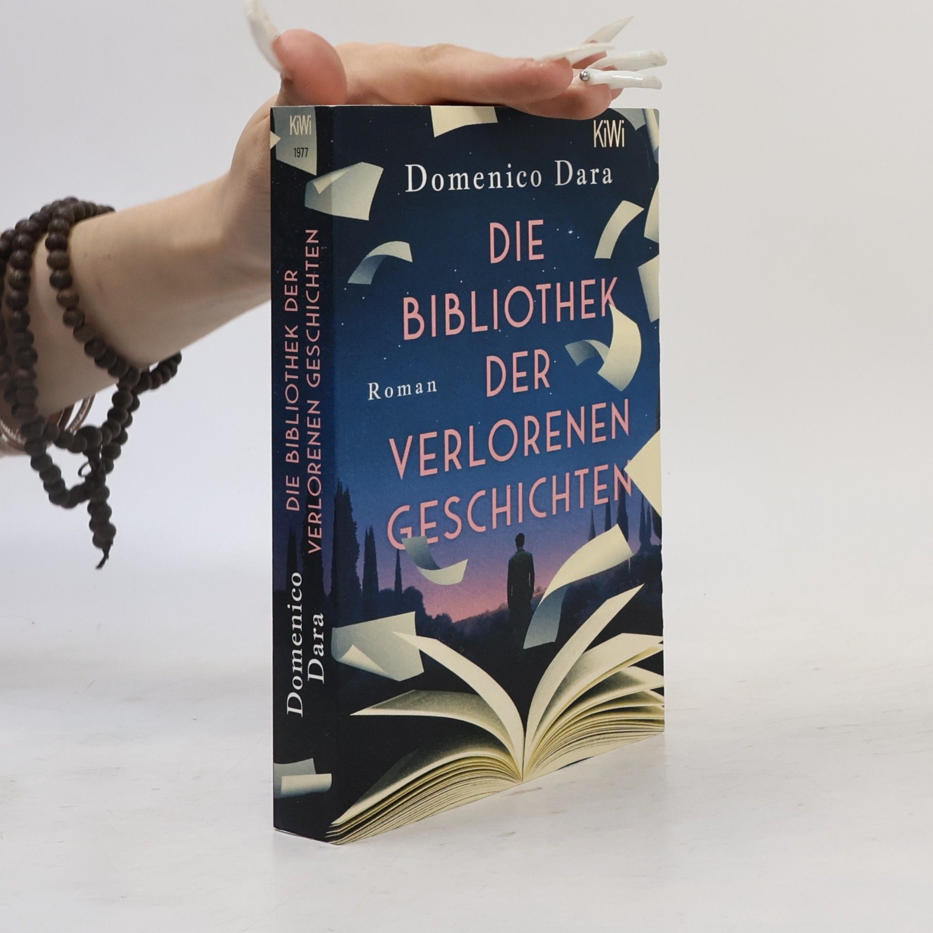 Domenico Dara Die Bibliothek der verlorenen Geschichten