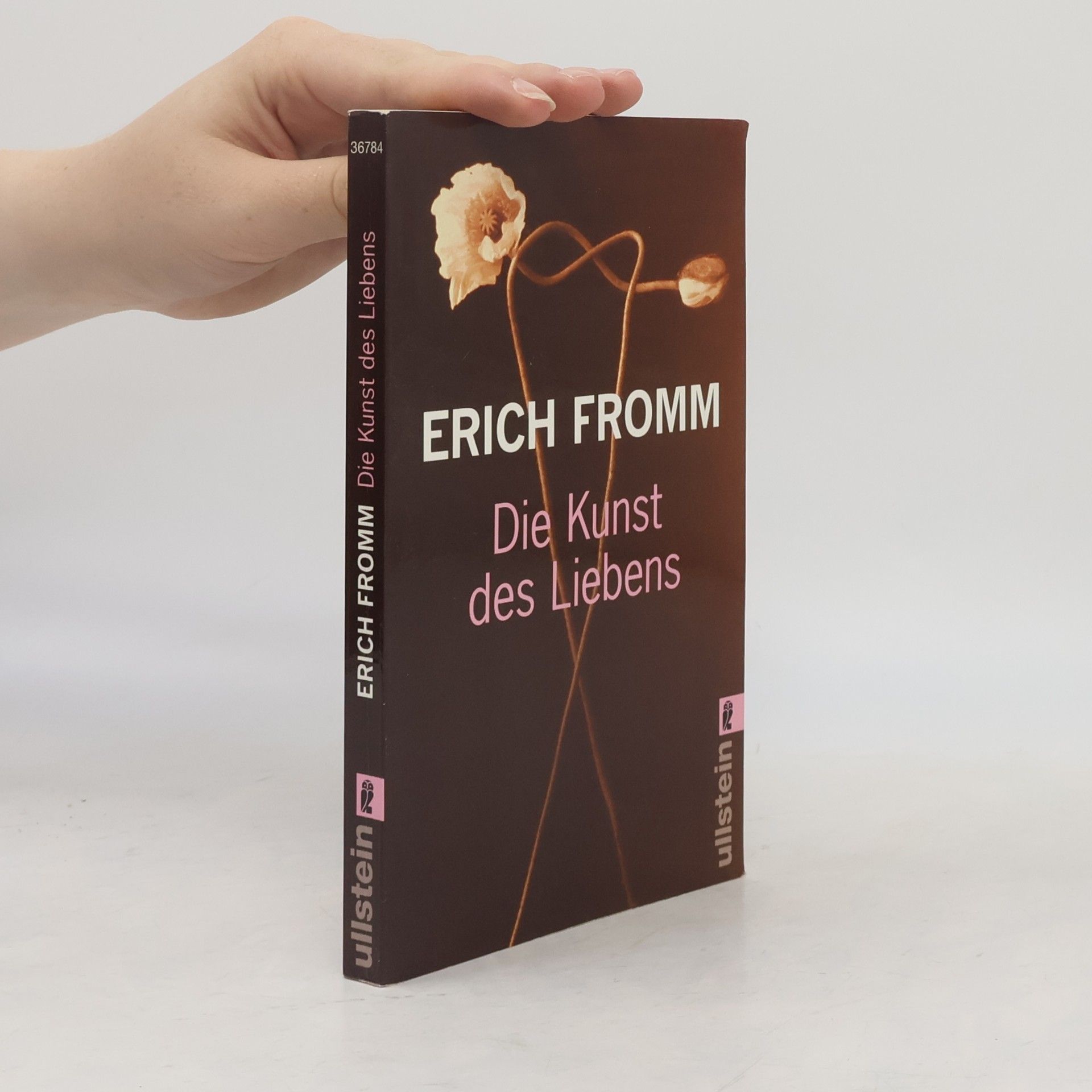 Erich Fromm Die Kunst des Liebens