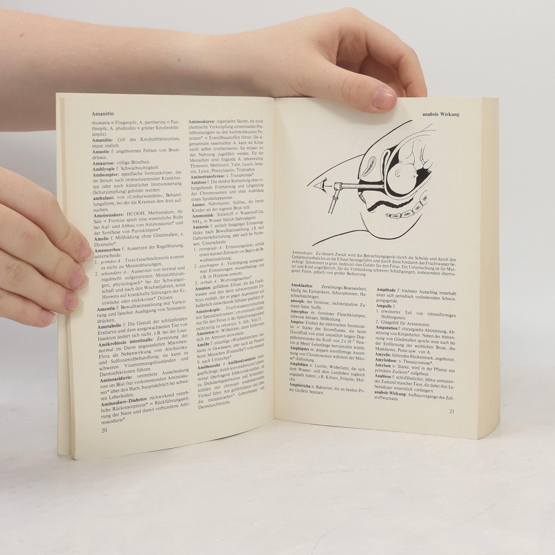 Josef Hammerschmid Gollwitzer Wörterbuch der Medizinischen Fachausdrücke