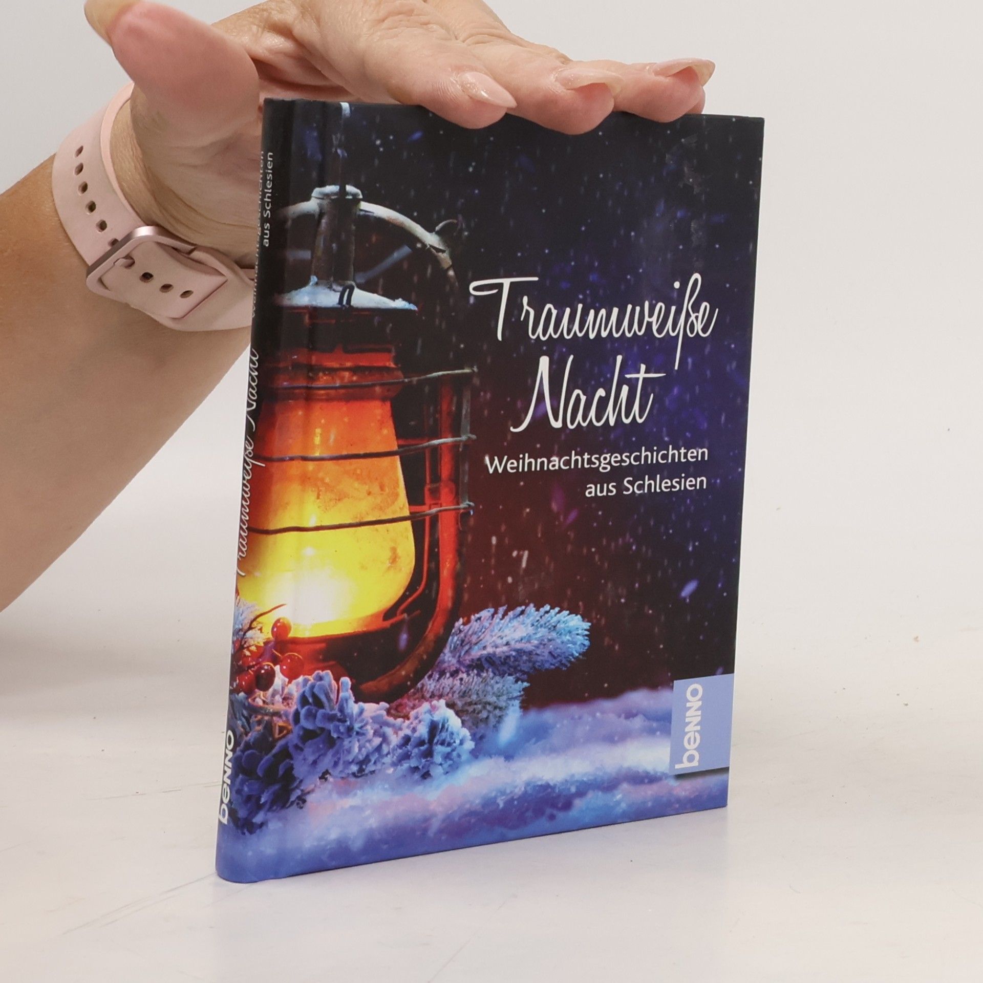 Kolektiv autorů Traumweiße Nacht