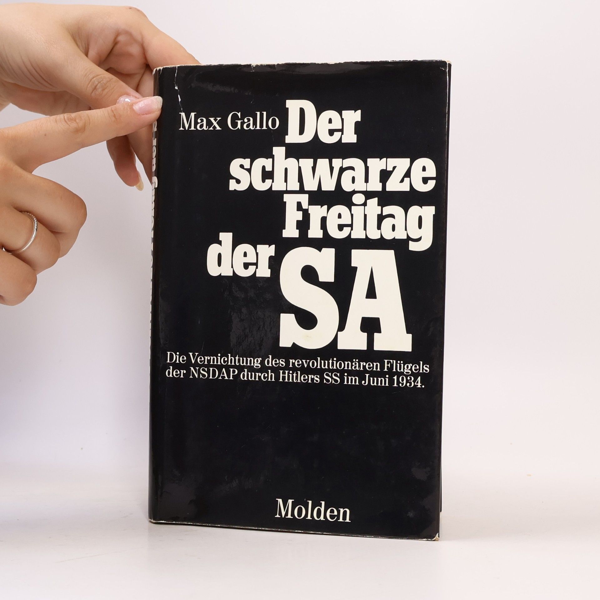 Max Gallo Der schwarze Freitag der SA