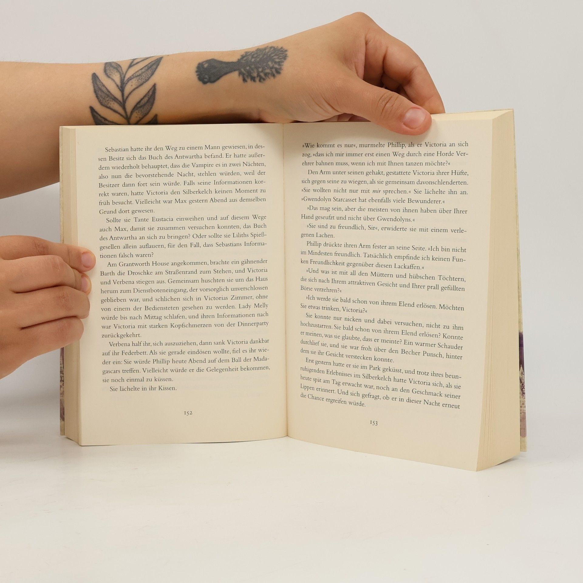 Colleen Cambridge Das Buch der Vampire