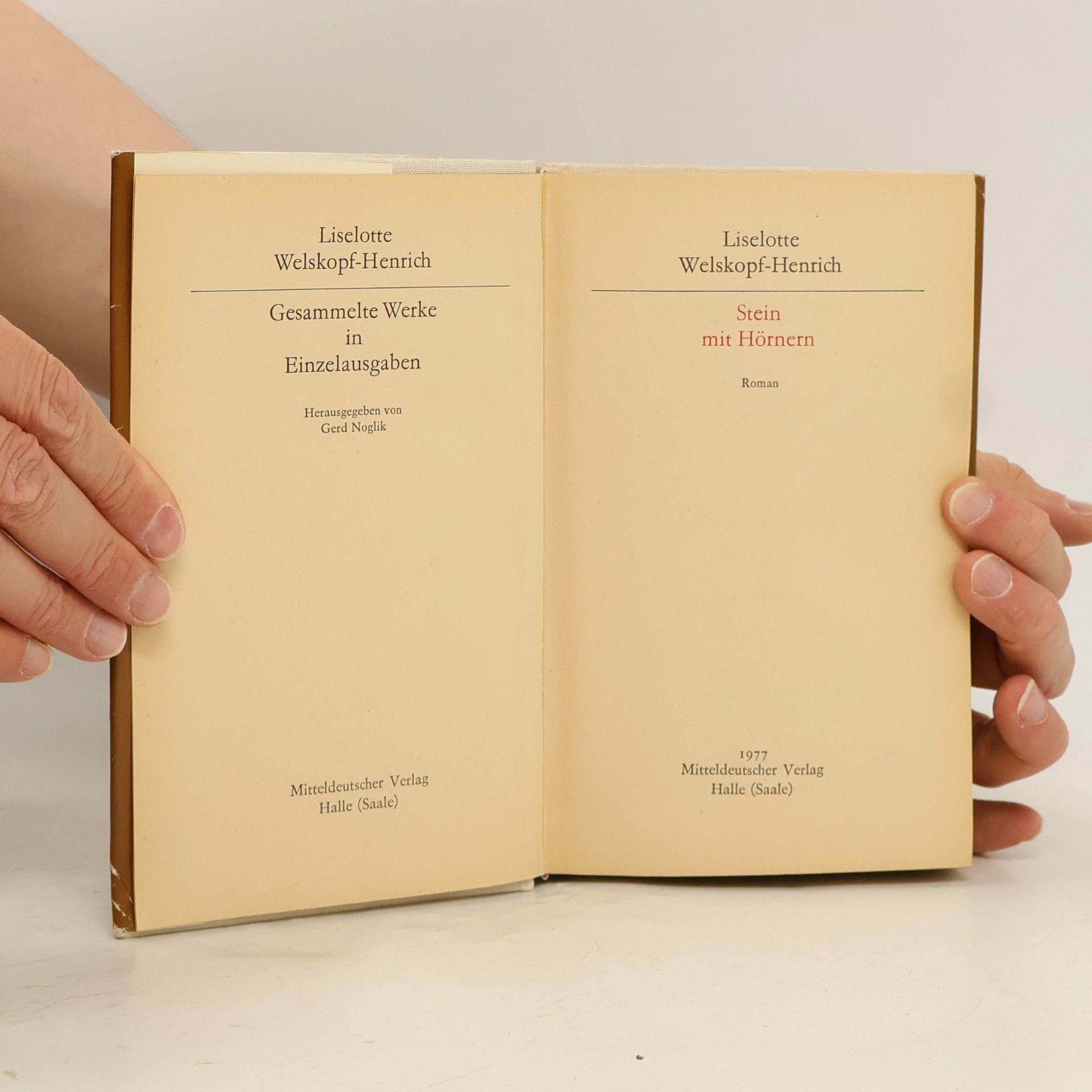 Liselotte Welskopf-Henrich Stein mit Hörnern