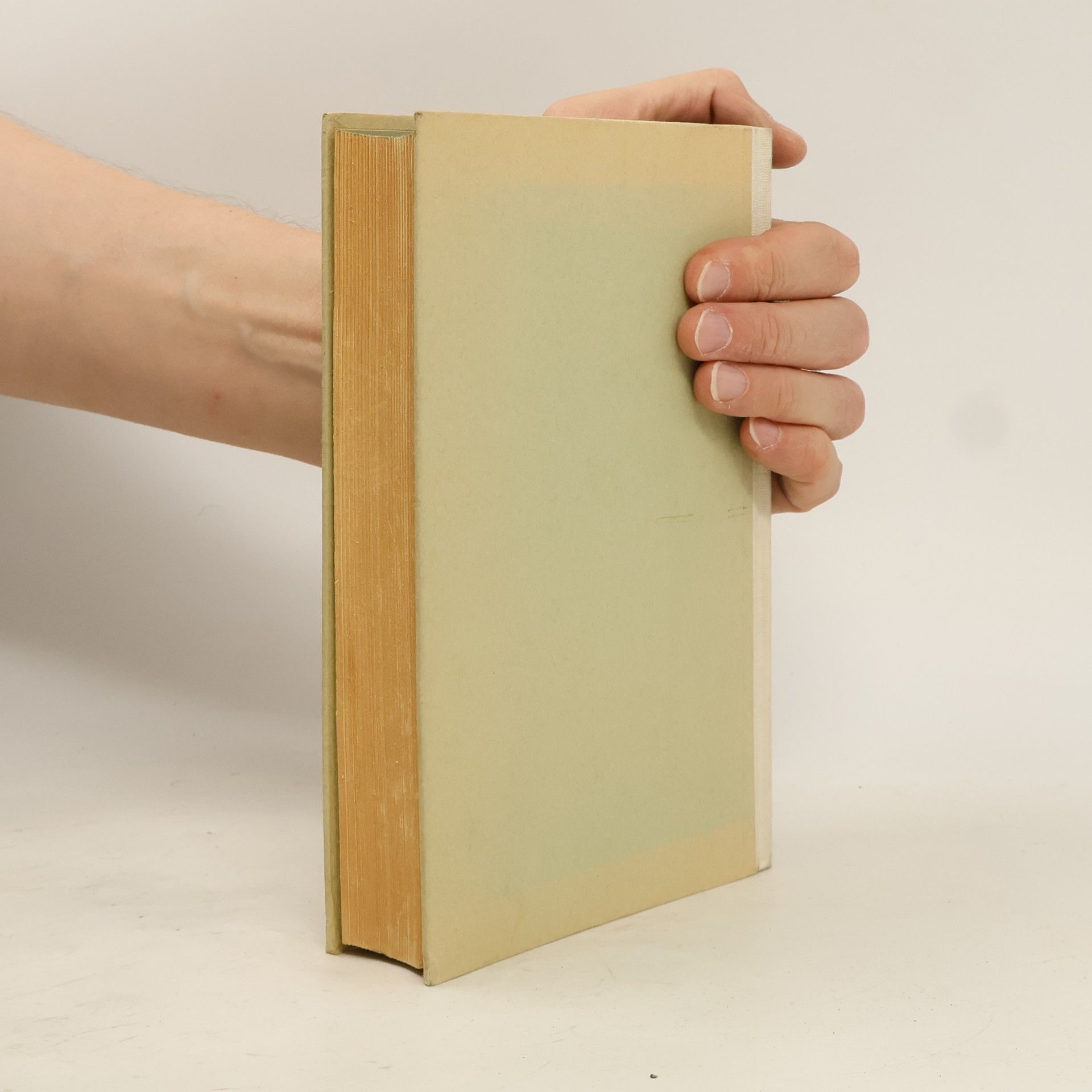 Emil Rudolf Greulich Das geheime Tagebuch