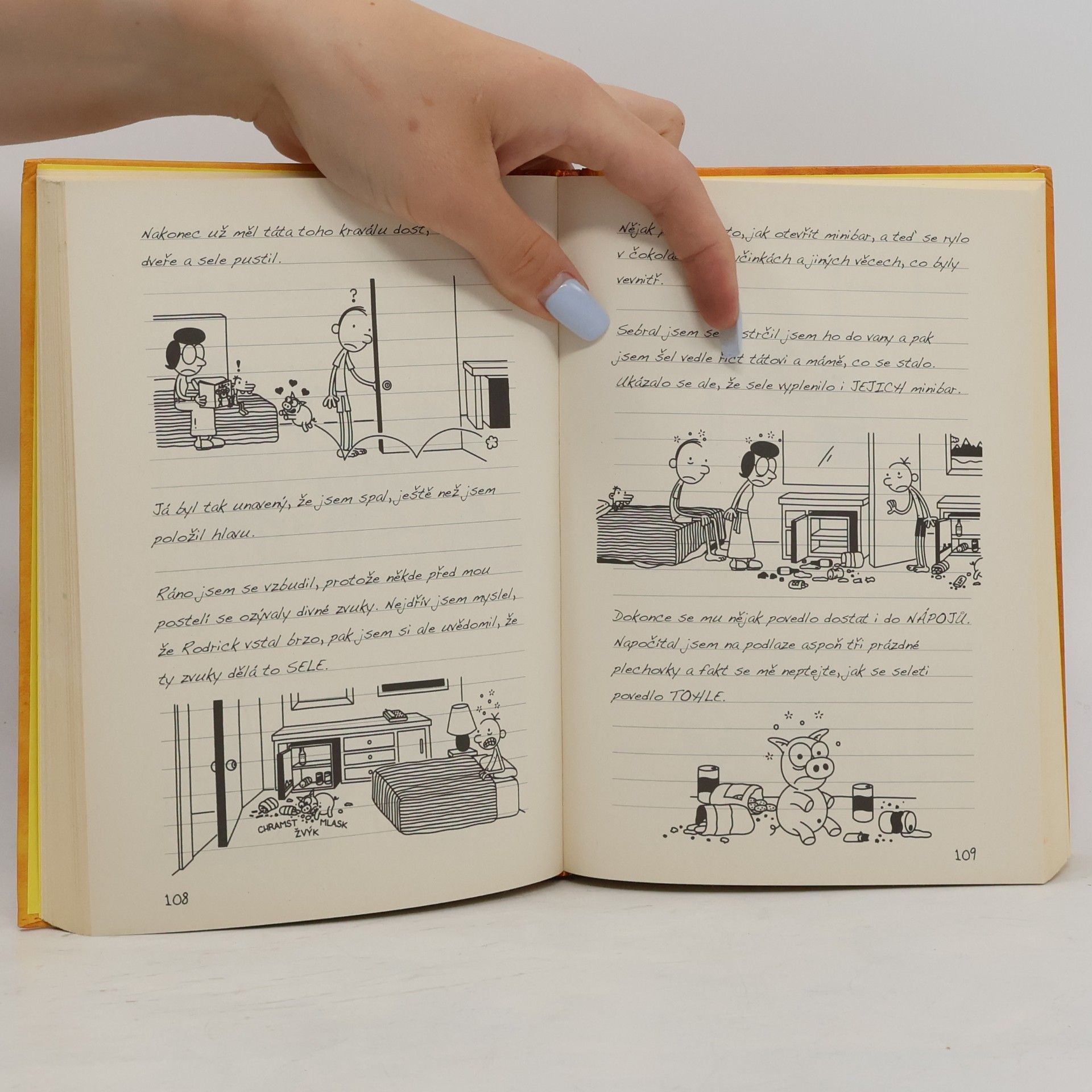 Jeff Kinney Deník malého poseroutky 9. Výlet za všechny peníze