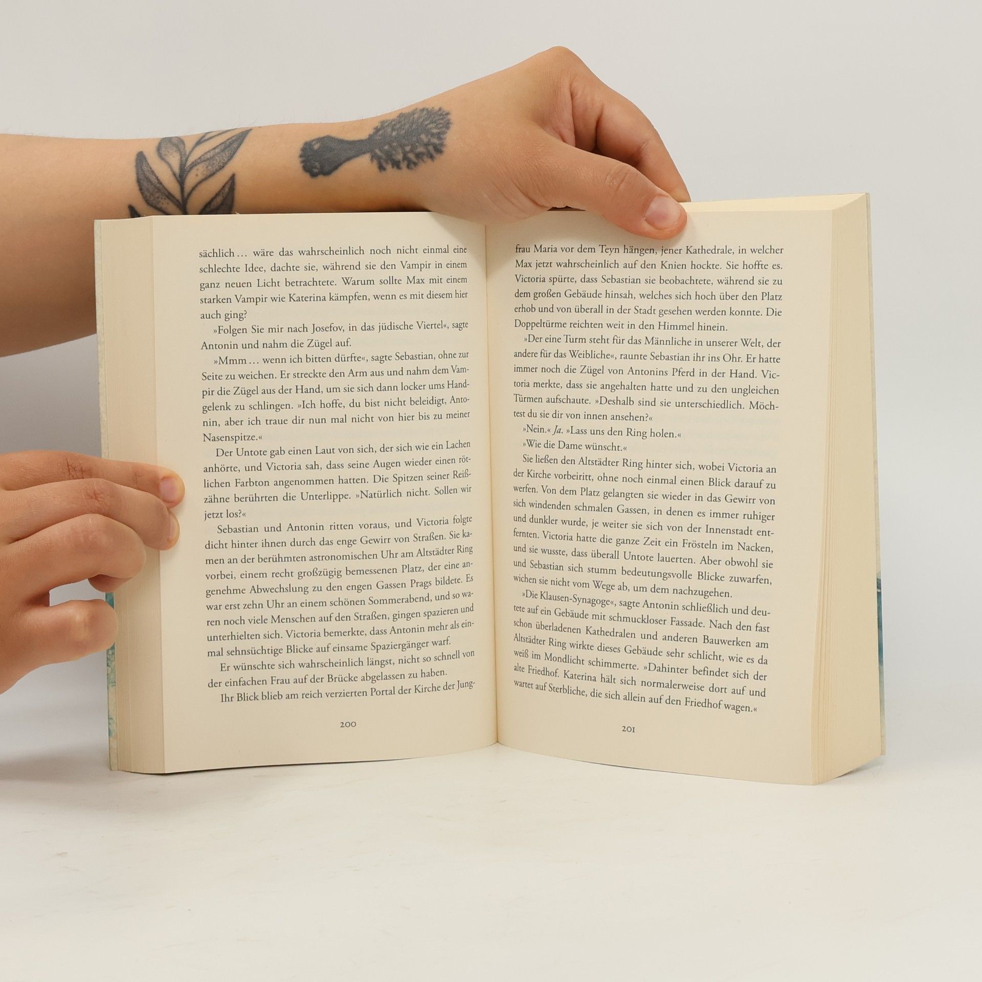 Colleen Cambridge Das Buch der Vampire
