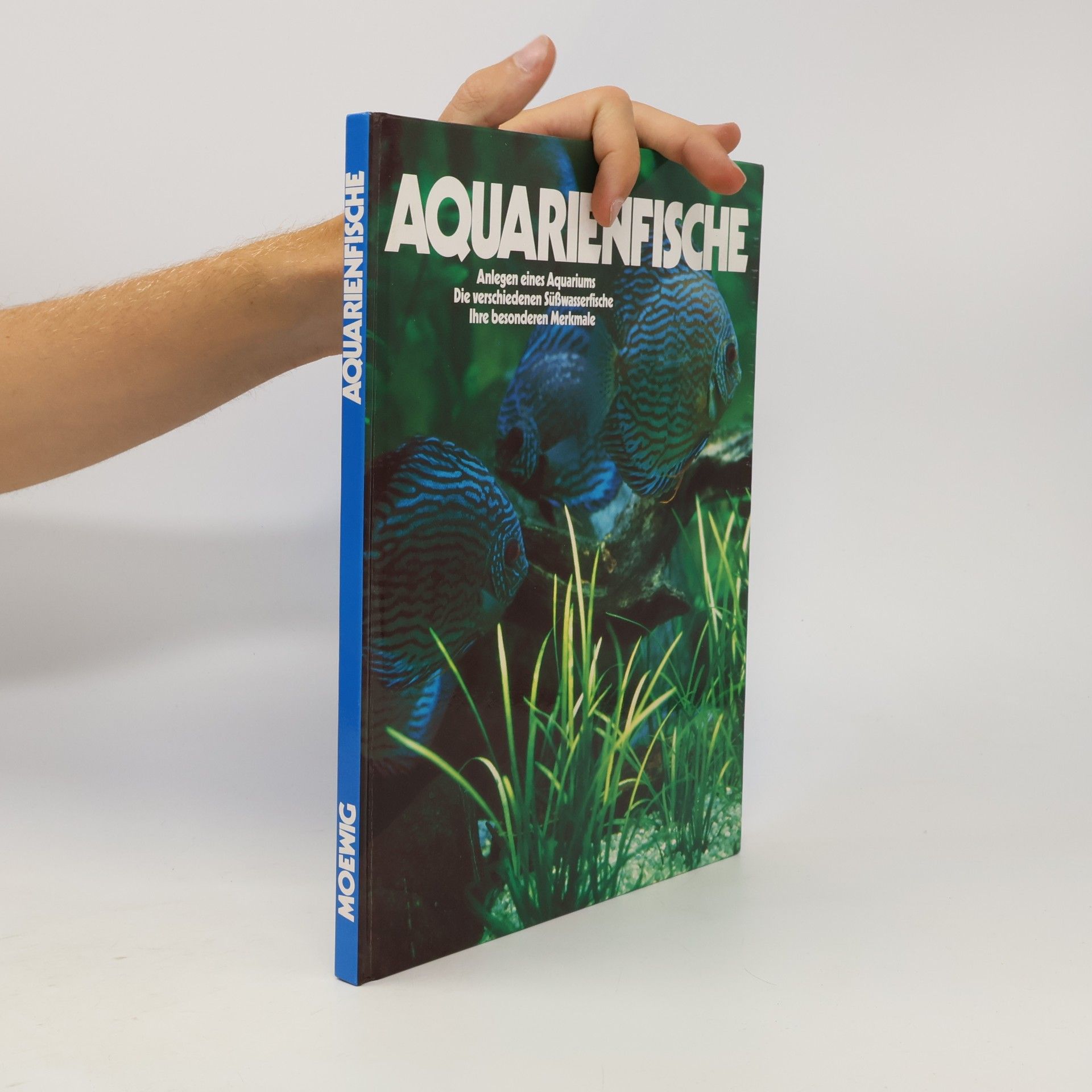 Autorenkollektiv Aquatienfische