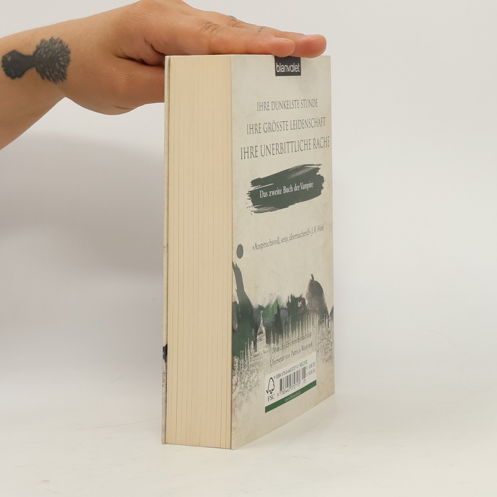 Colleen Cambridge Das Buch der Vampire