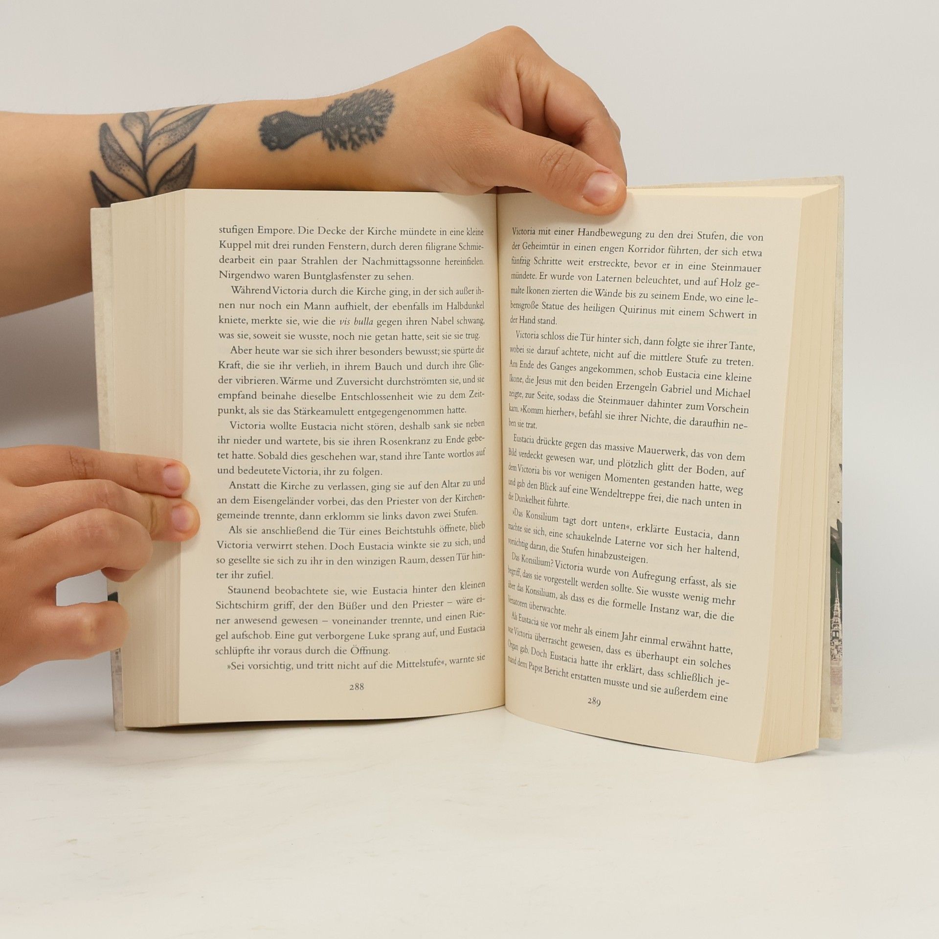 Colleen Cambridge Das Buch der Vampire