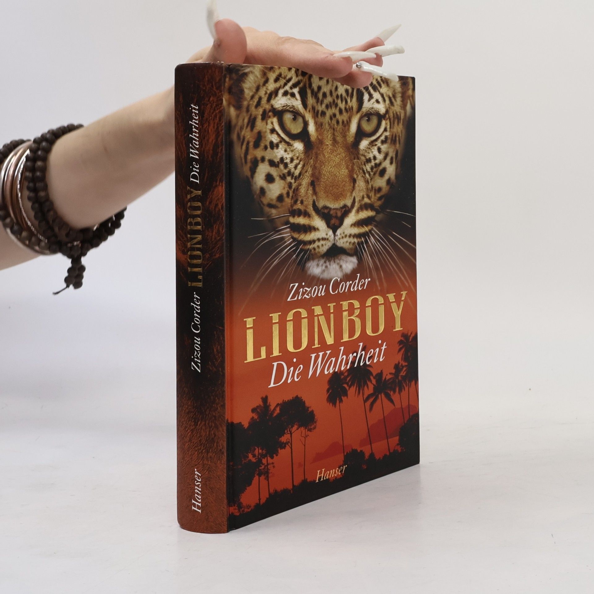 Lionboy