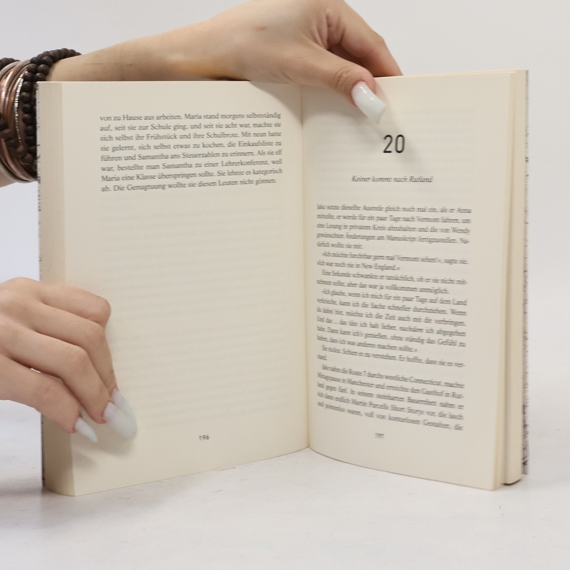 Jean Hanff Korelitz Der Plot