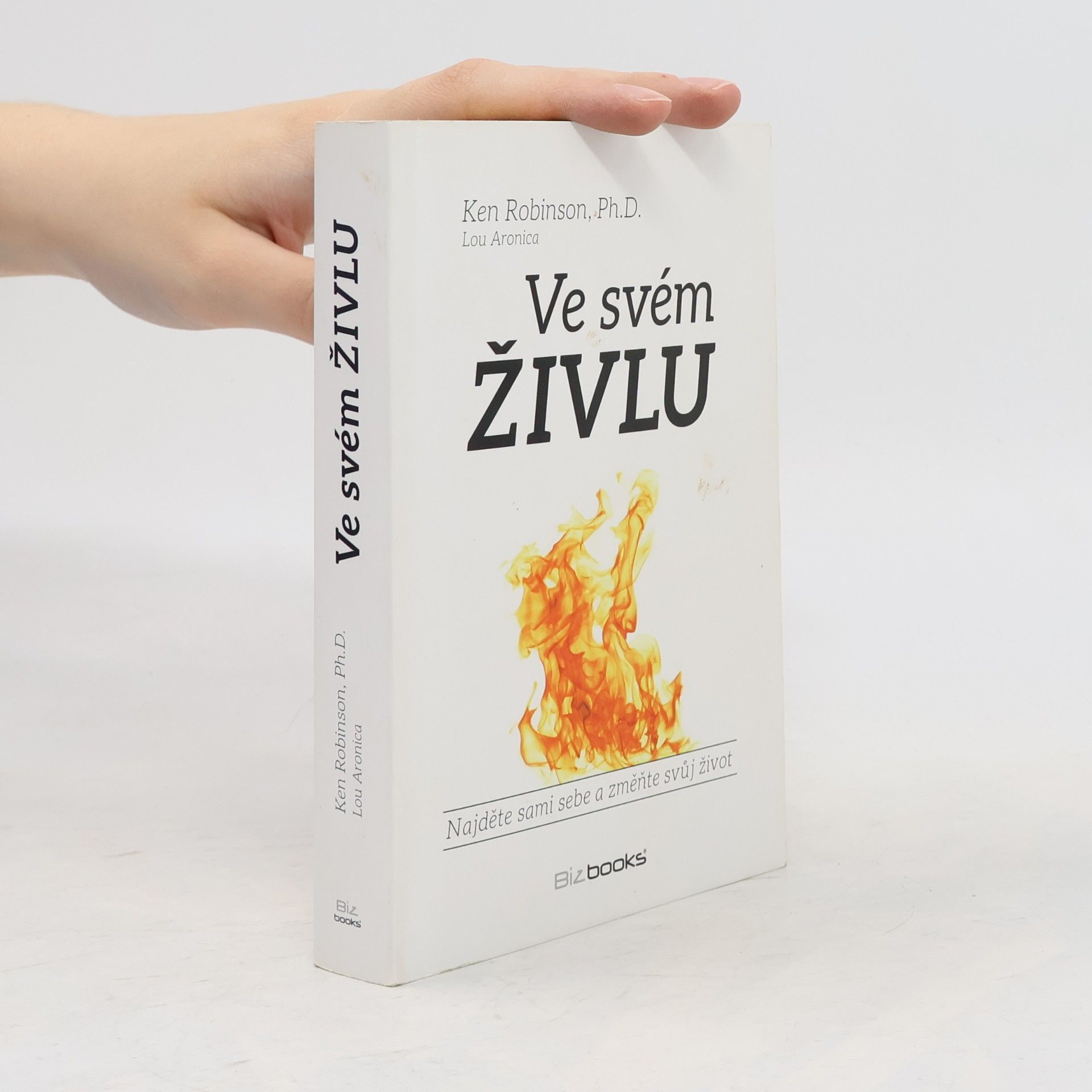 Ken Robinson Ve svém živlu. Najděte sami sebe a změňte svůj život