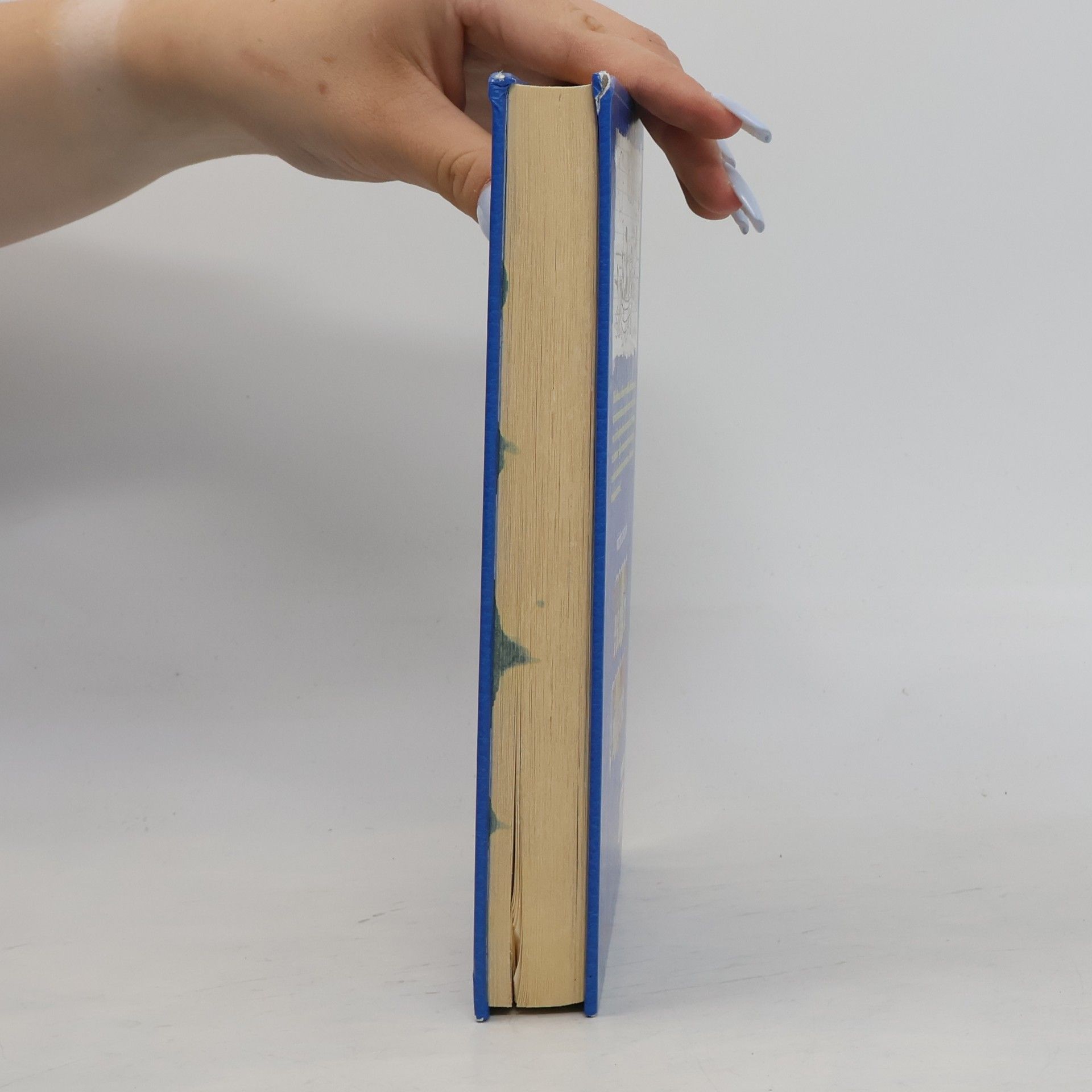 Jeff Kinney Deník malého poseroutky 12. Výprava za teplem