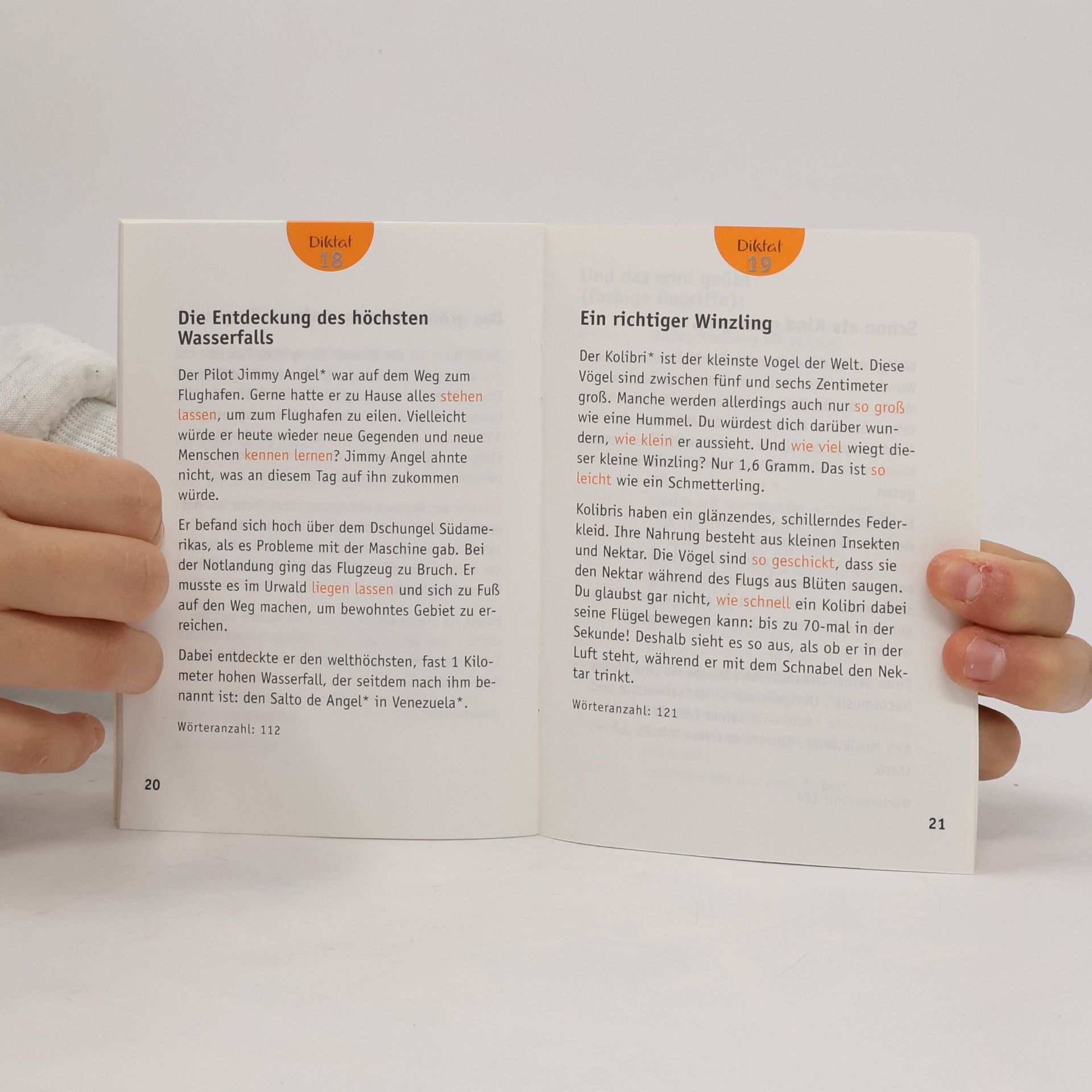 Autorenkollektiv Rekorde. 5. Schuljahr