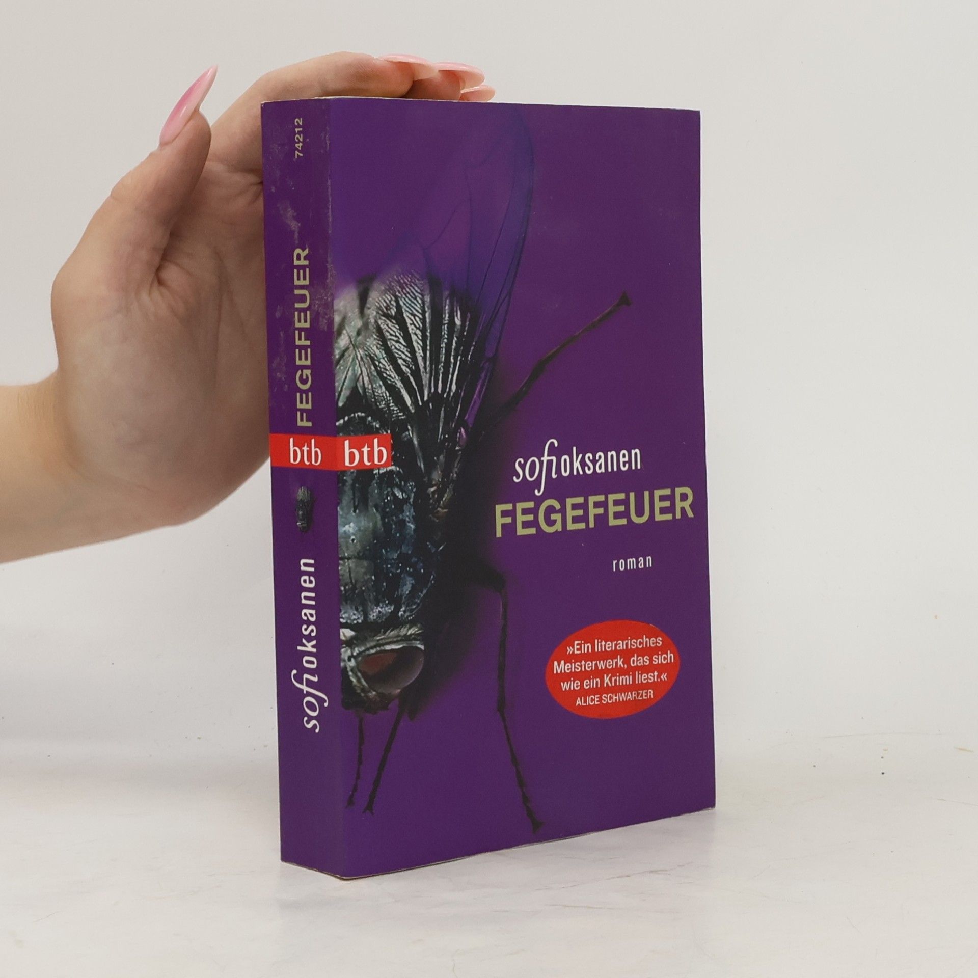 Sofi Oksanenová Fegefeuer