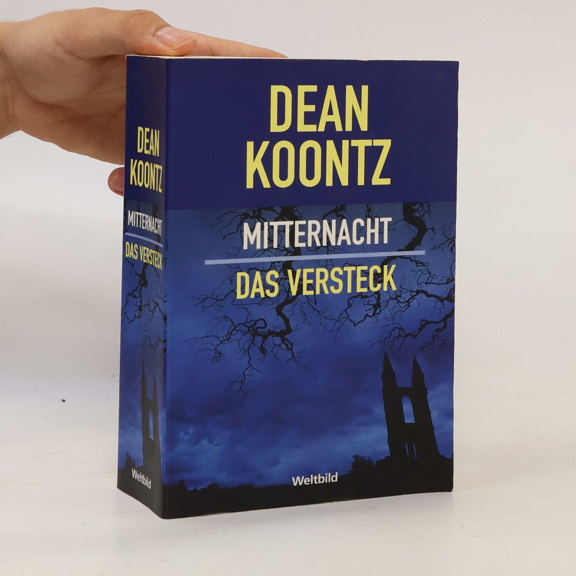 Dean Ray Koontz Mitternacht