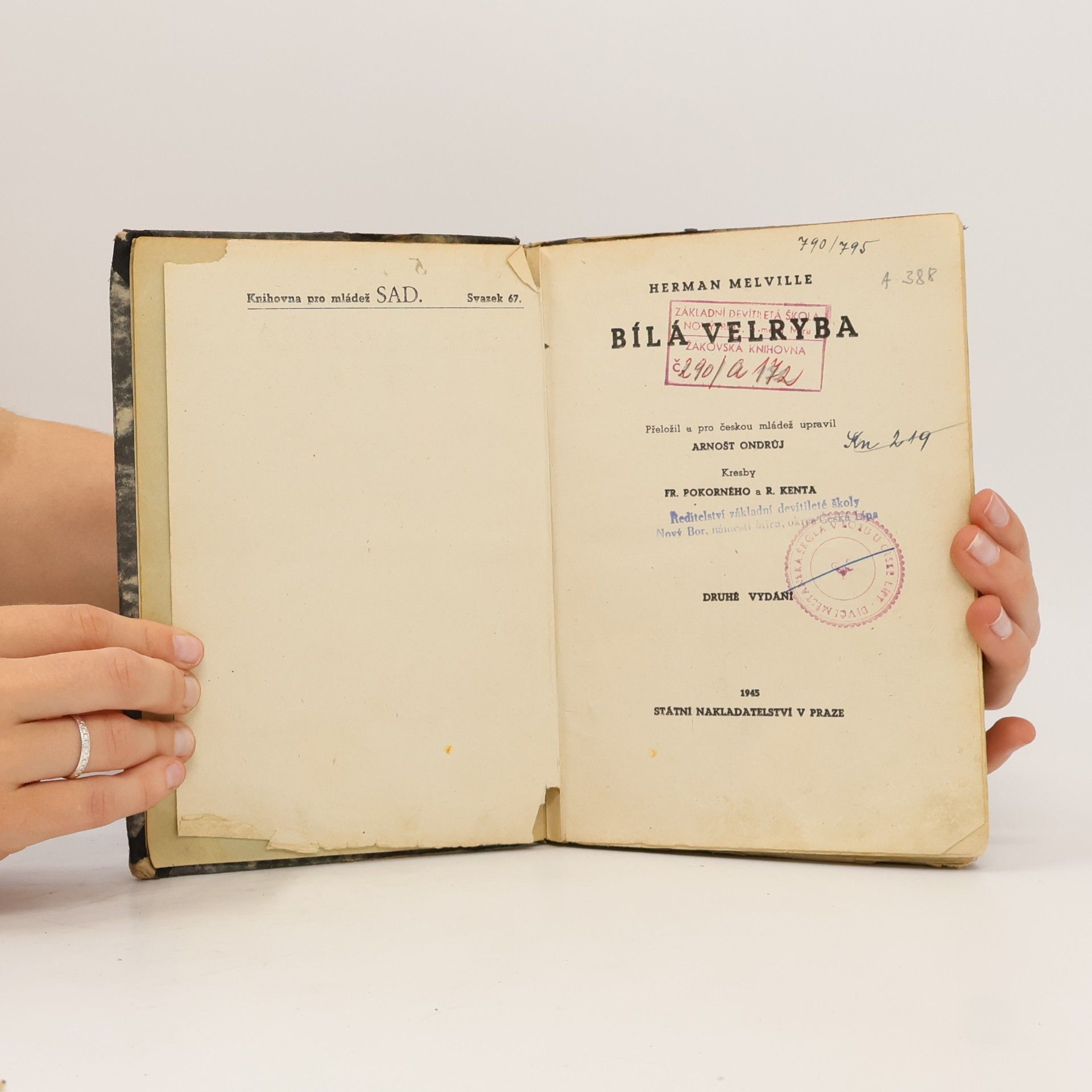 Herman Melville Bílá velryba