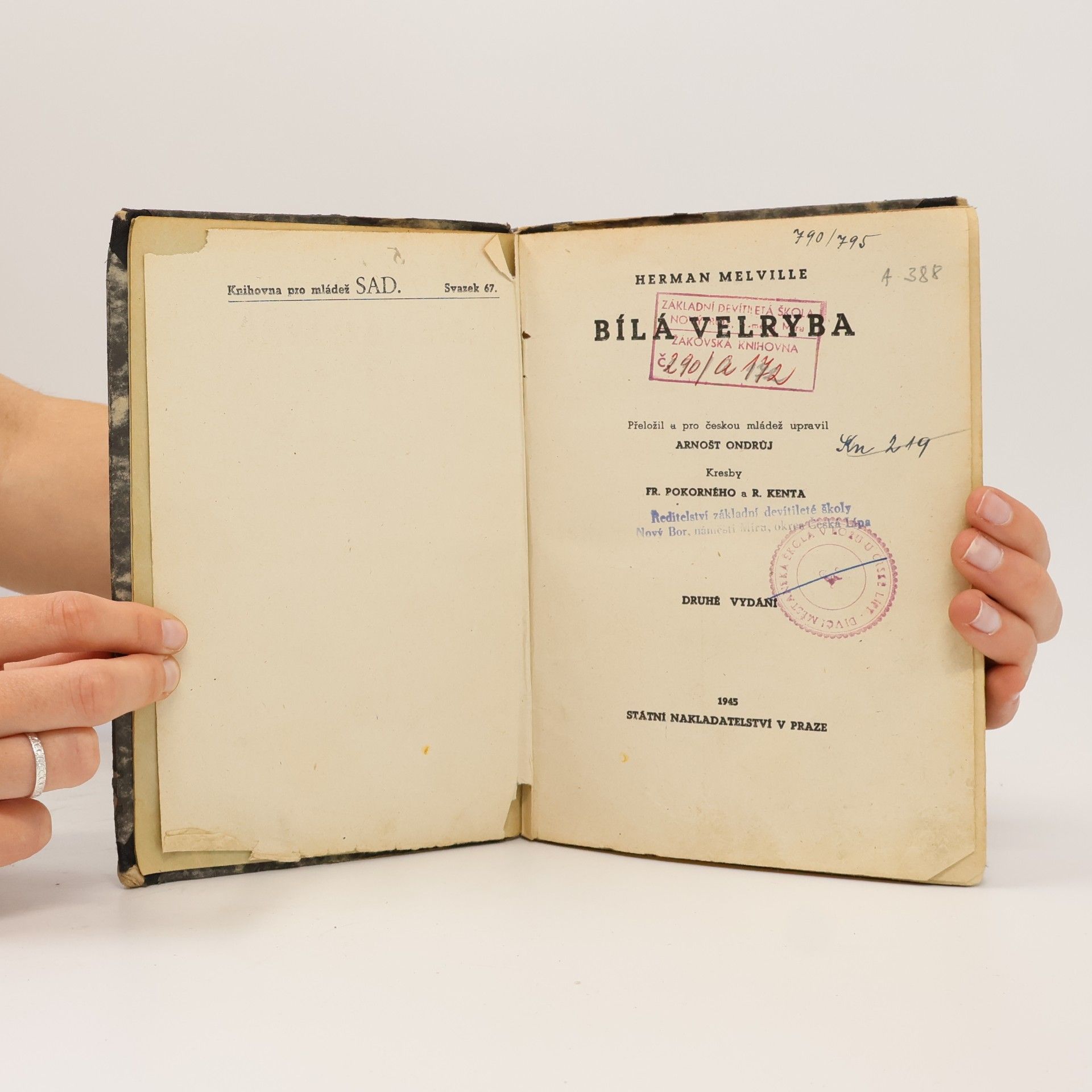 Herman Melville Bílá velryba