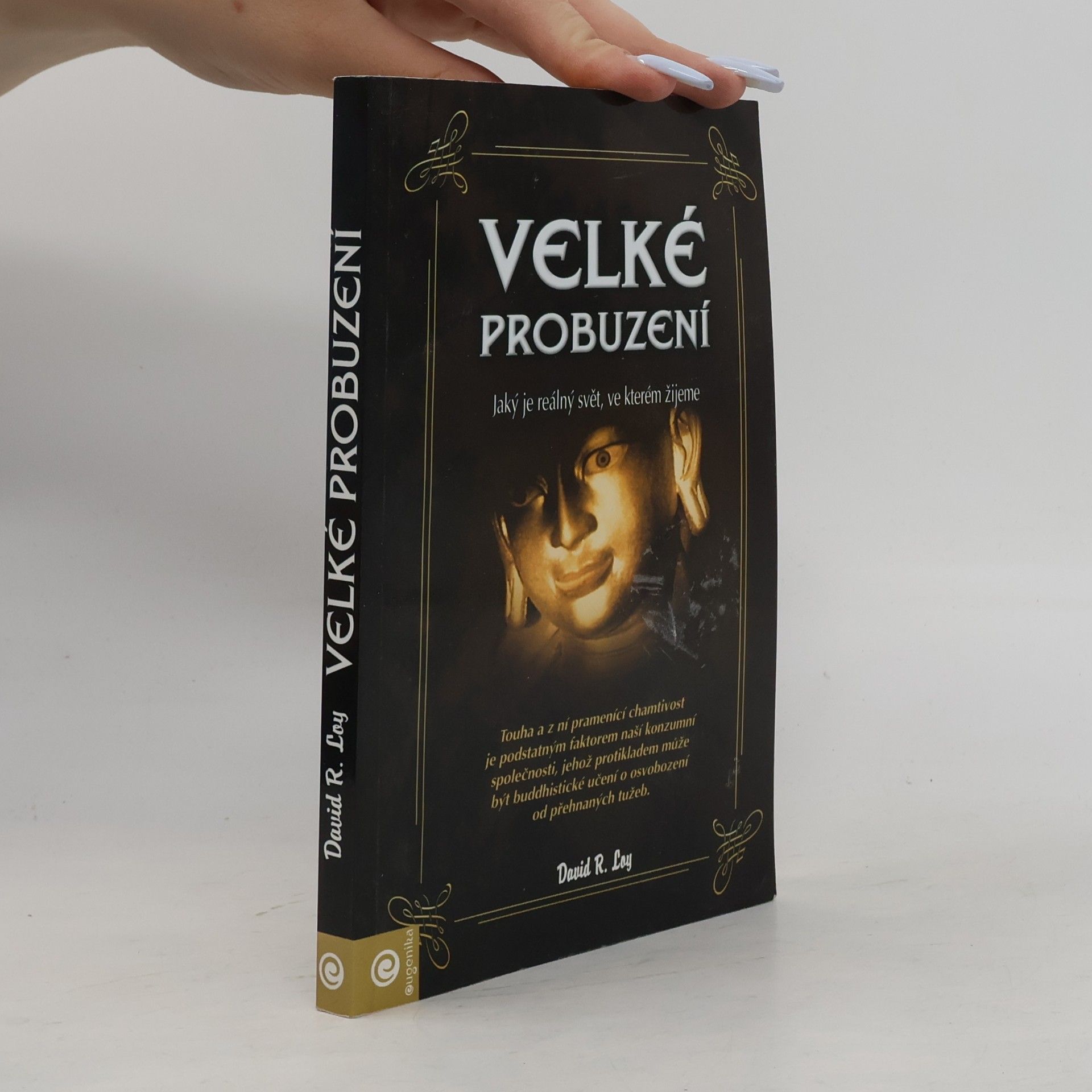 David Loy Velké probuzení : jaký je reálný svět, ve kterém žijeme