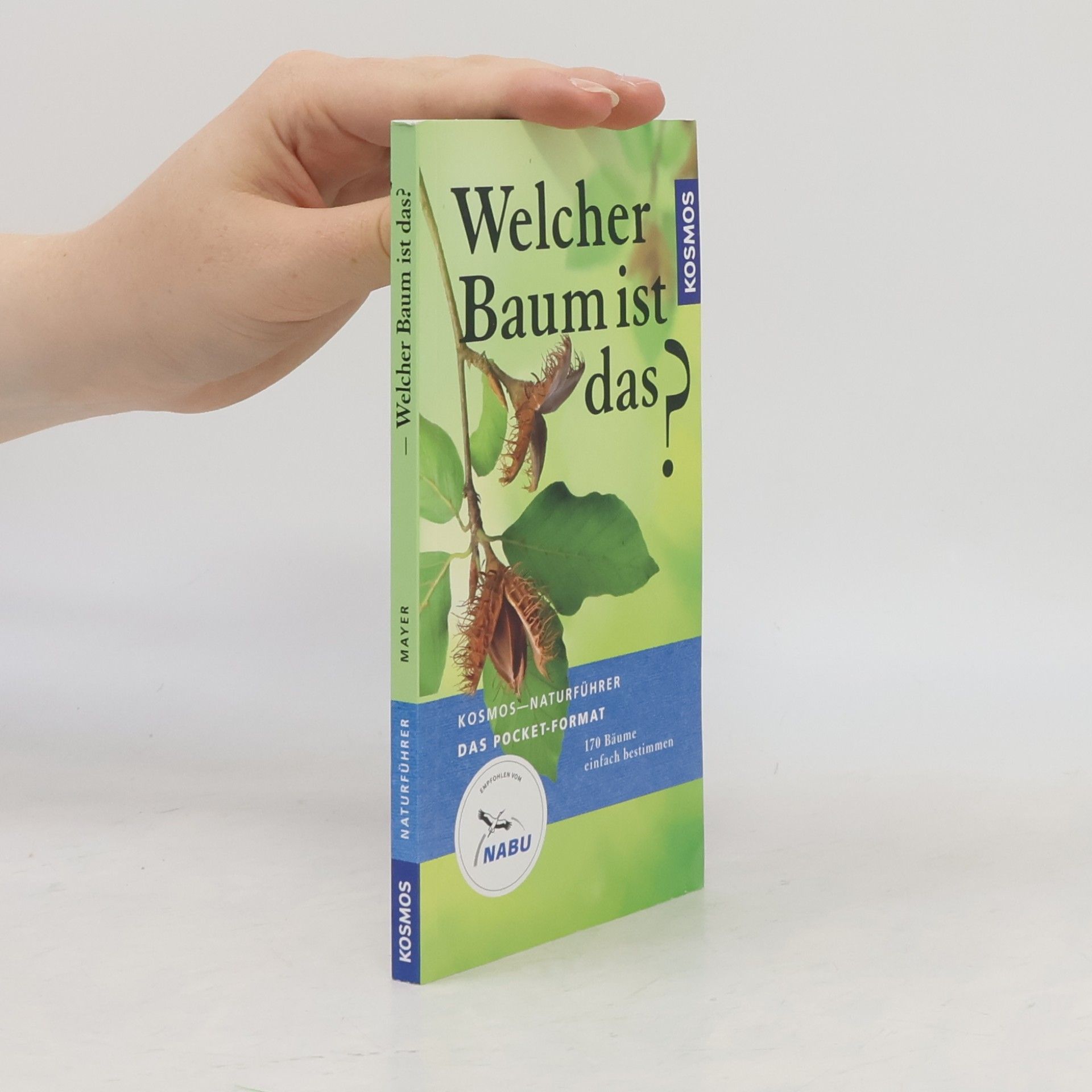 Joachim Mayer Welcher Baum ist das?