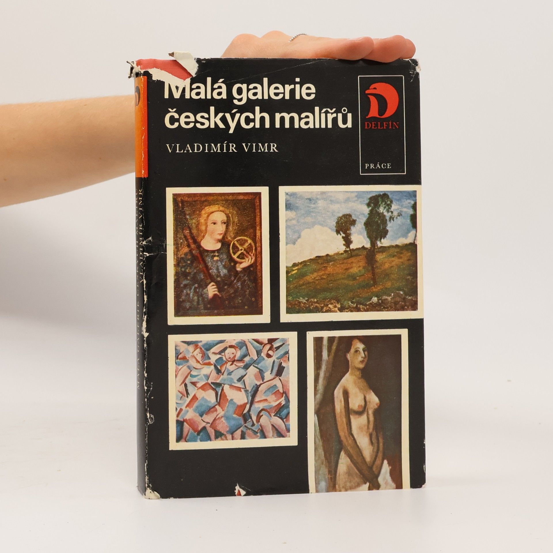 Vladimír Vimr Malá galerie českých malířů