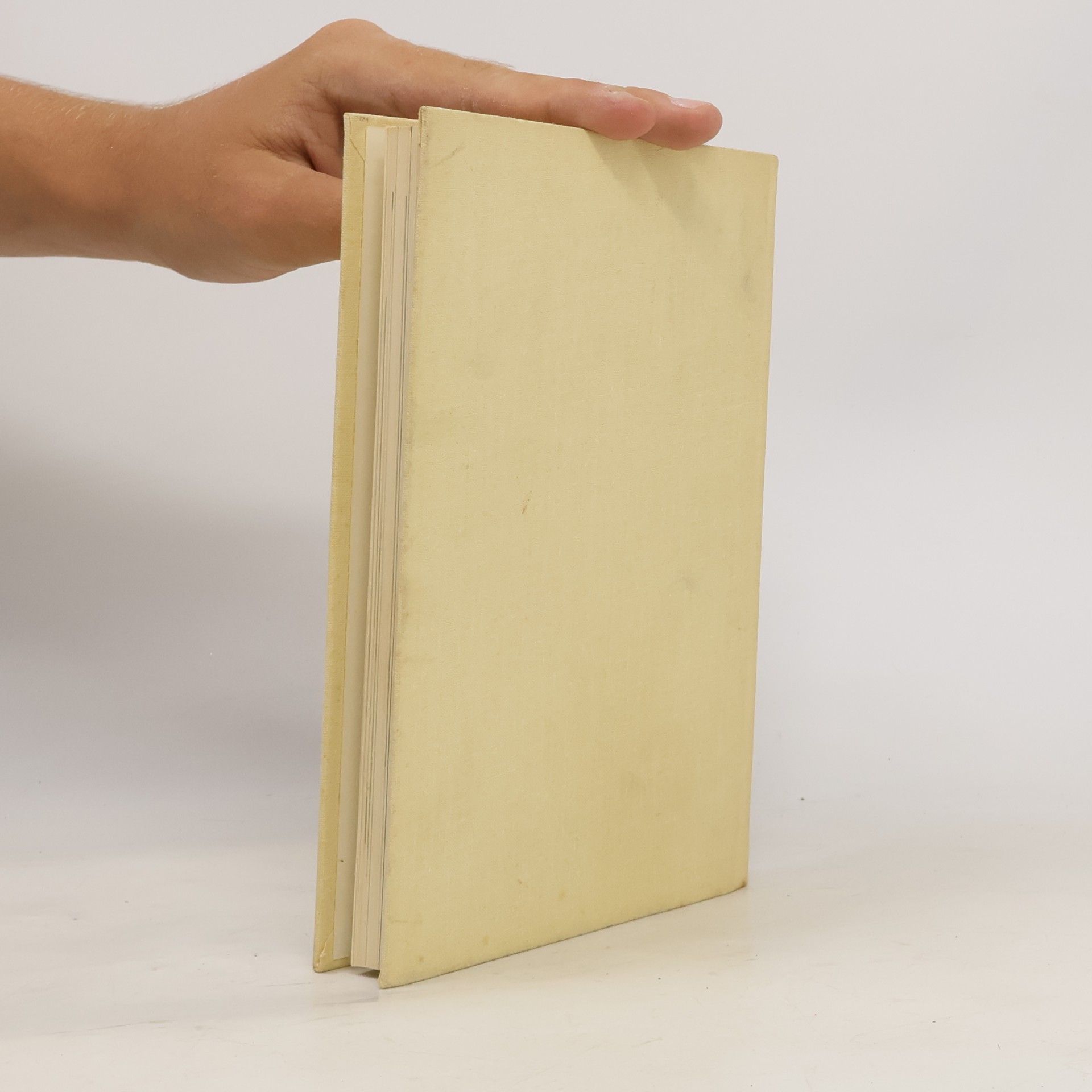 Autorenkollektiv 1x1 für junge Eltern