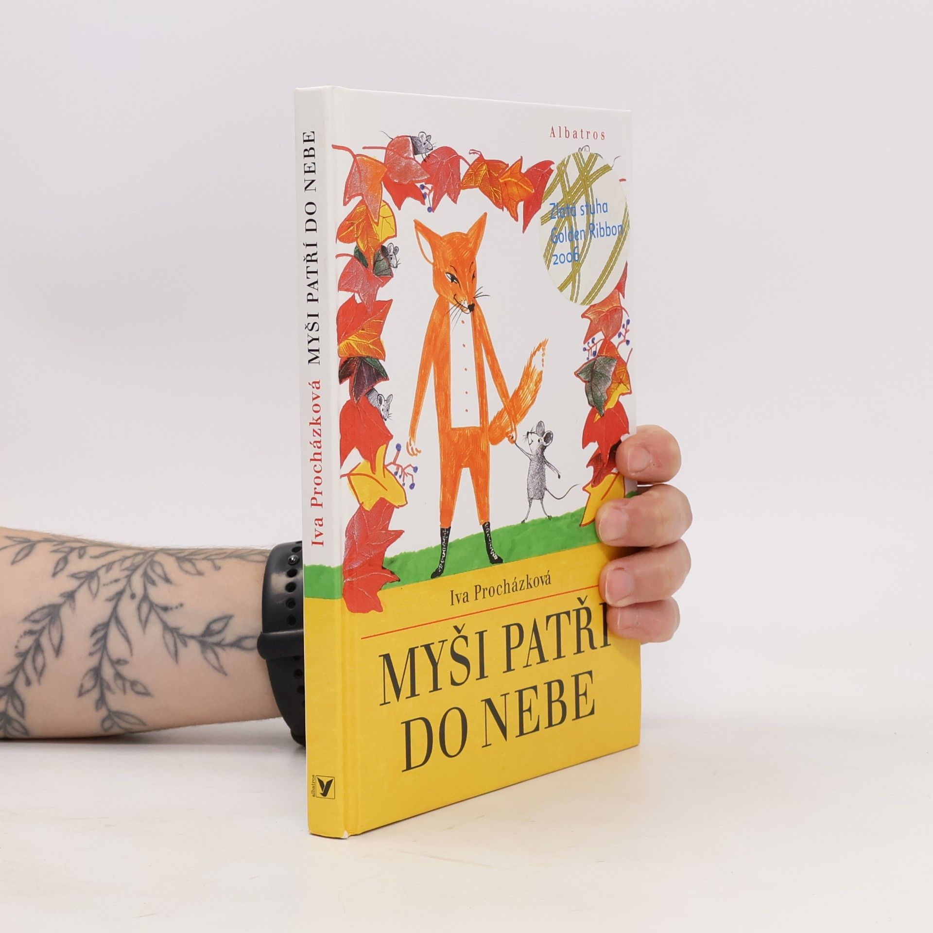 Iva Procházková Myši patří do nebe