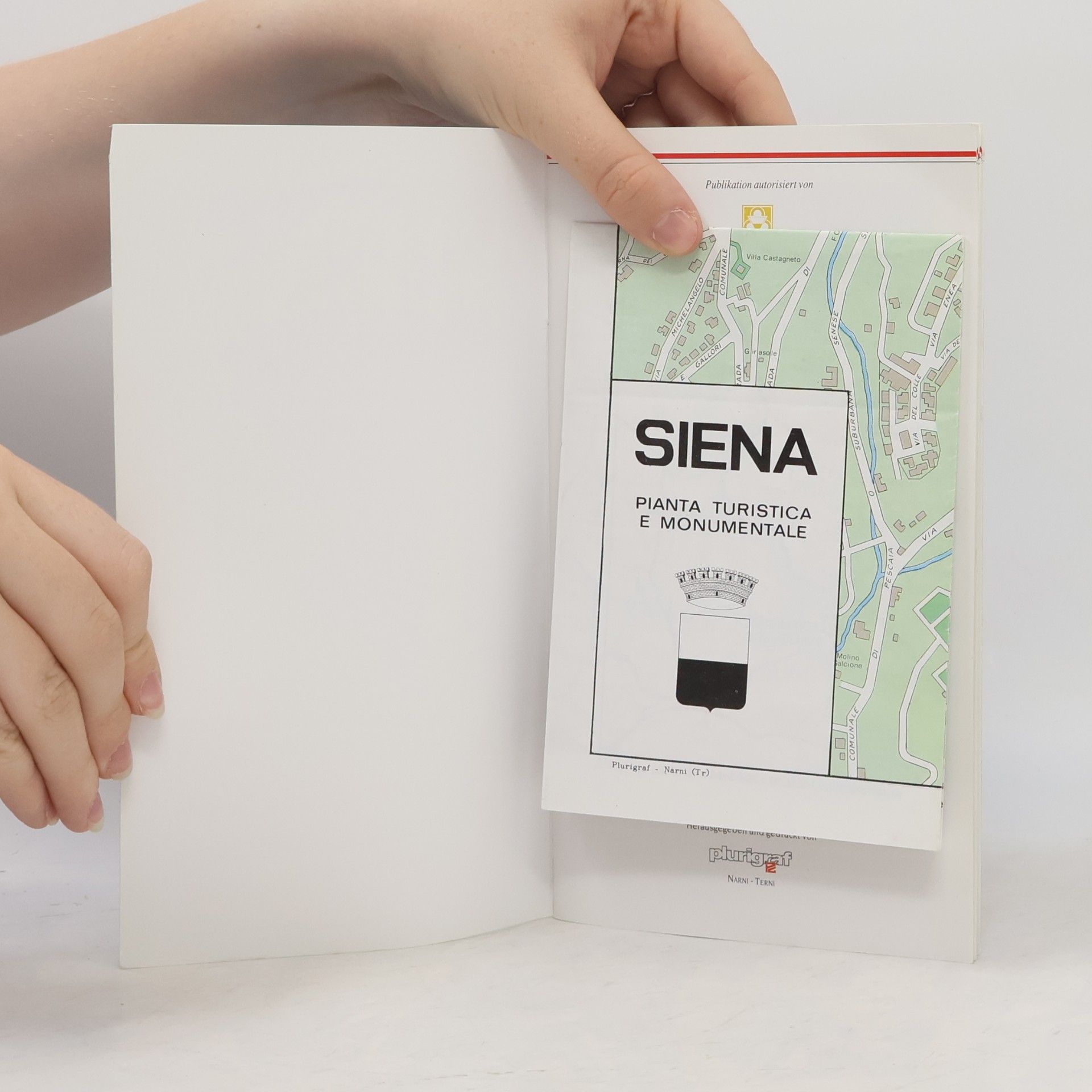 Autores varios Siena. Reiseführer mit Stadtplan